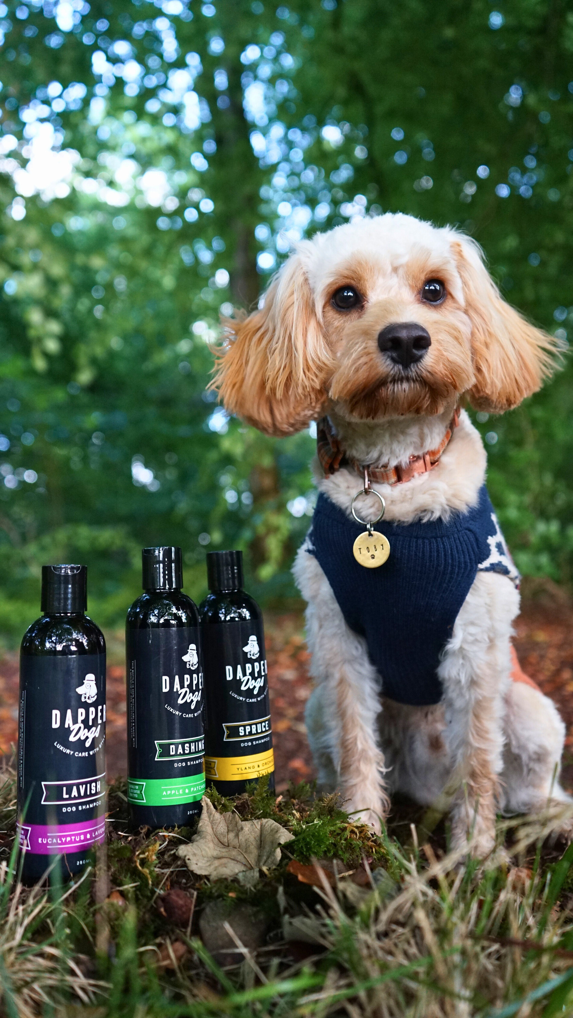 Dapper Dogs Product Photography