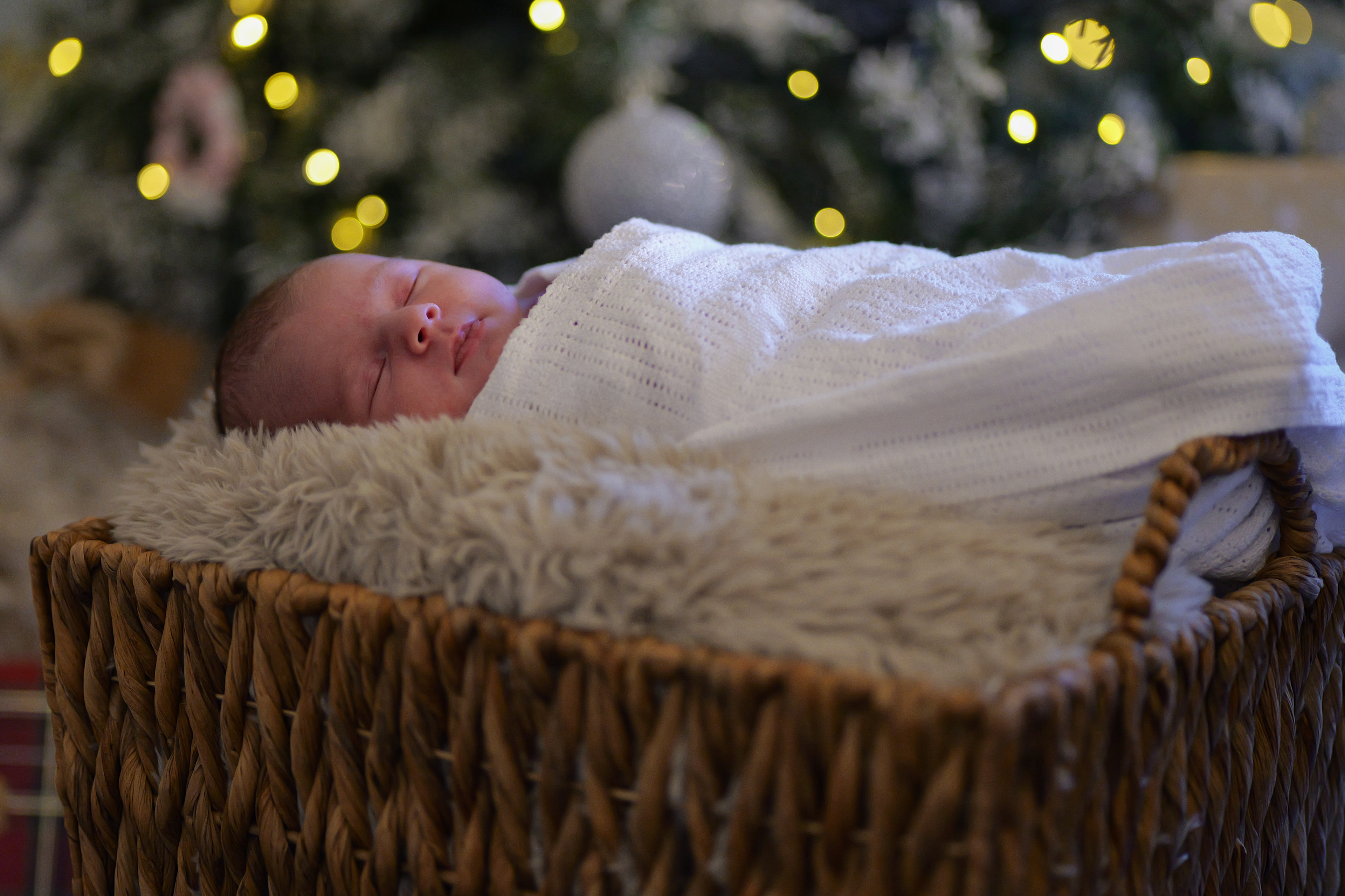 Newborn Christmas Photos