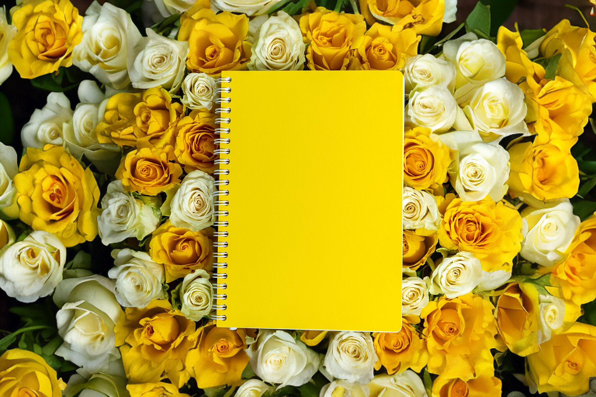 Jumble & Co Product Photography