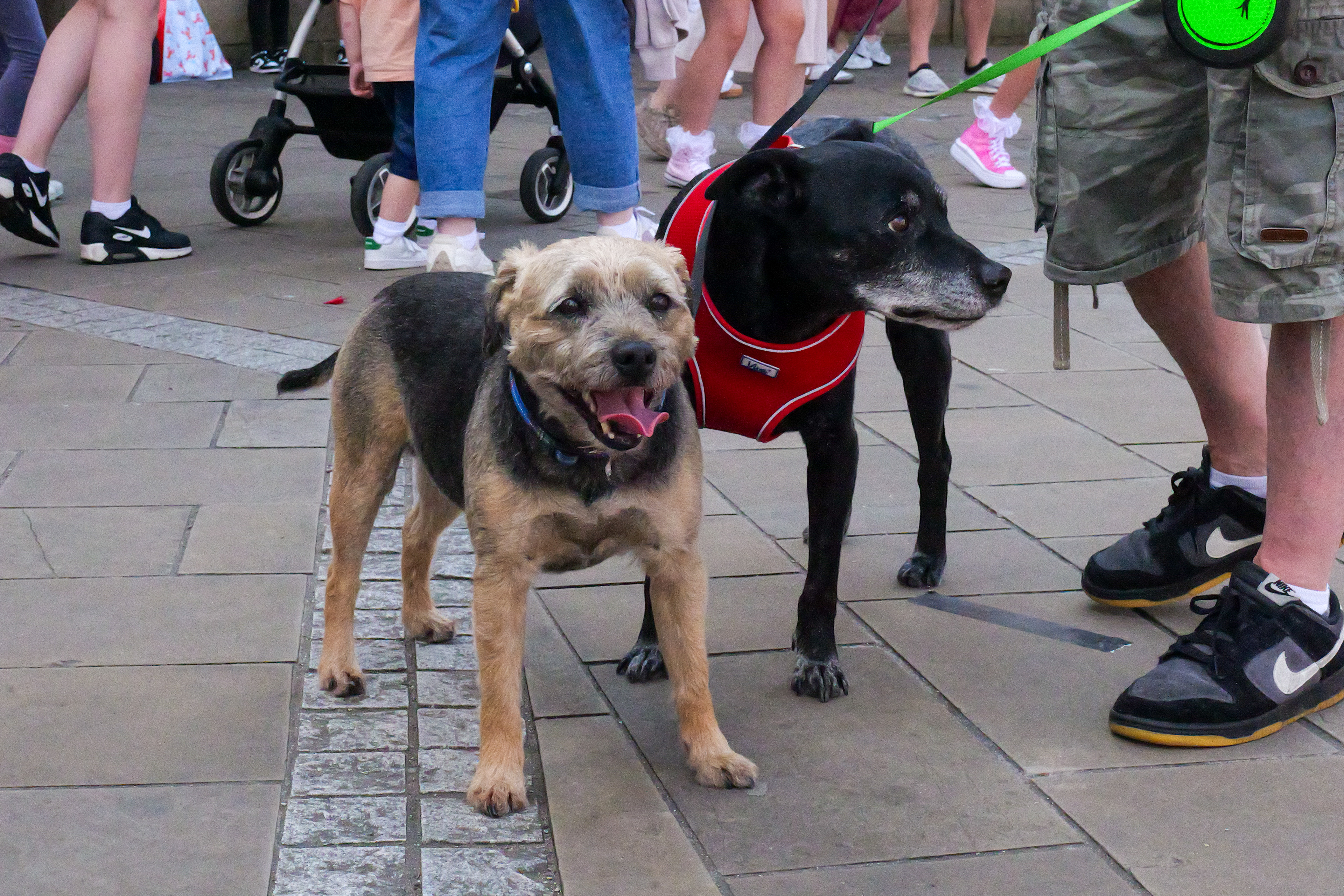 Kirkintilloch Big Weekend