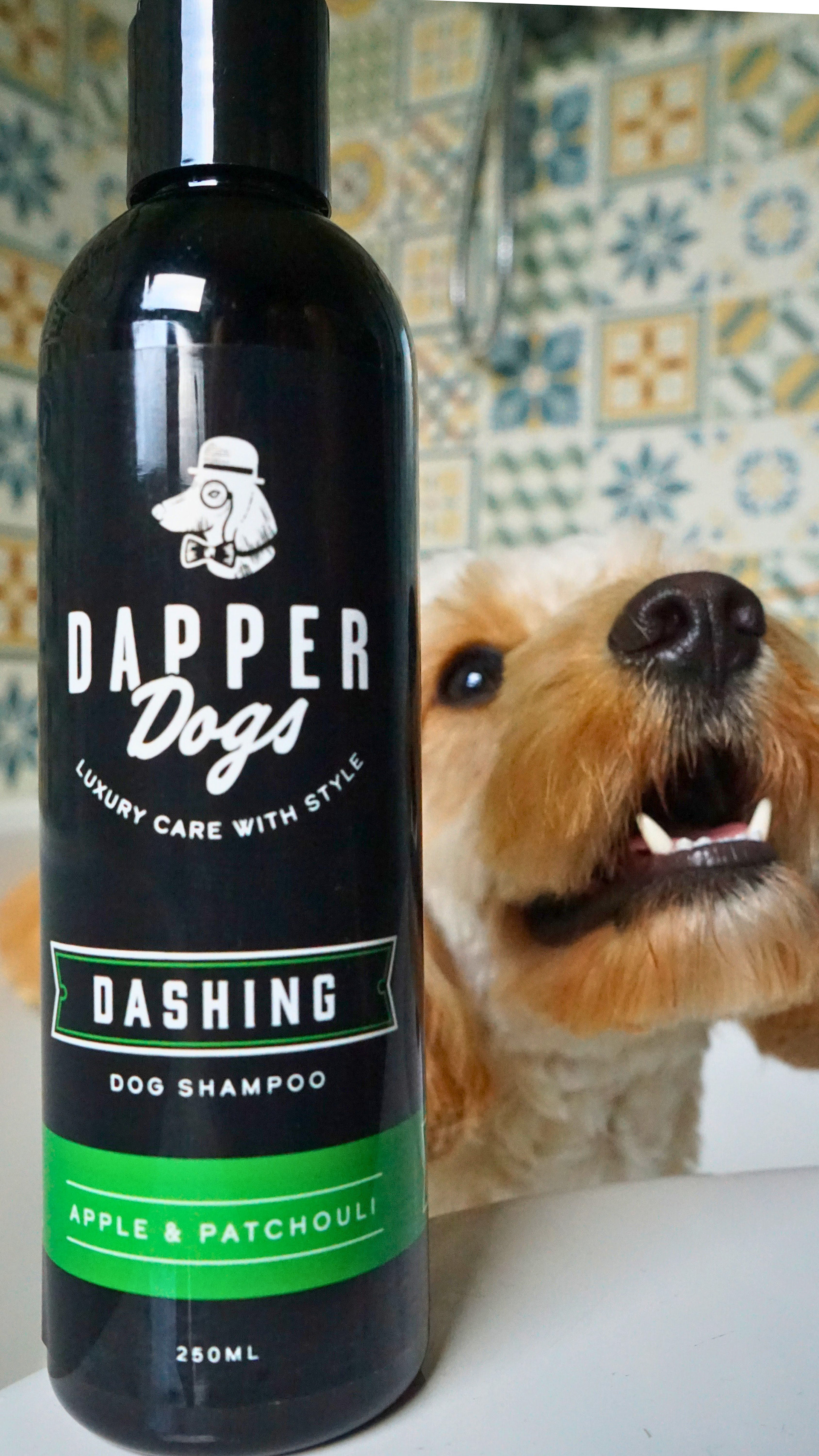 Dapper Dogs Product Photography