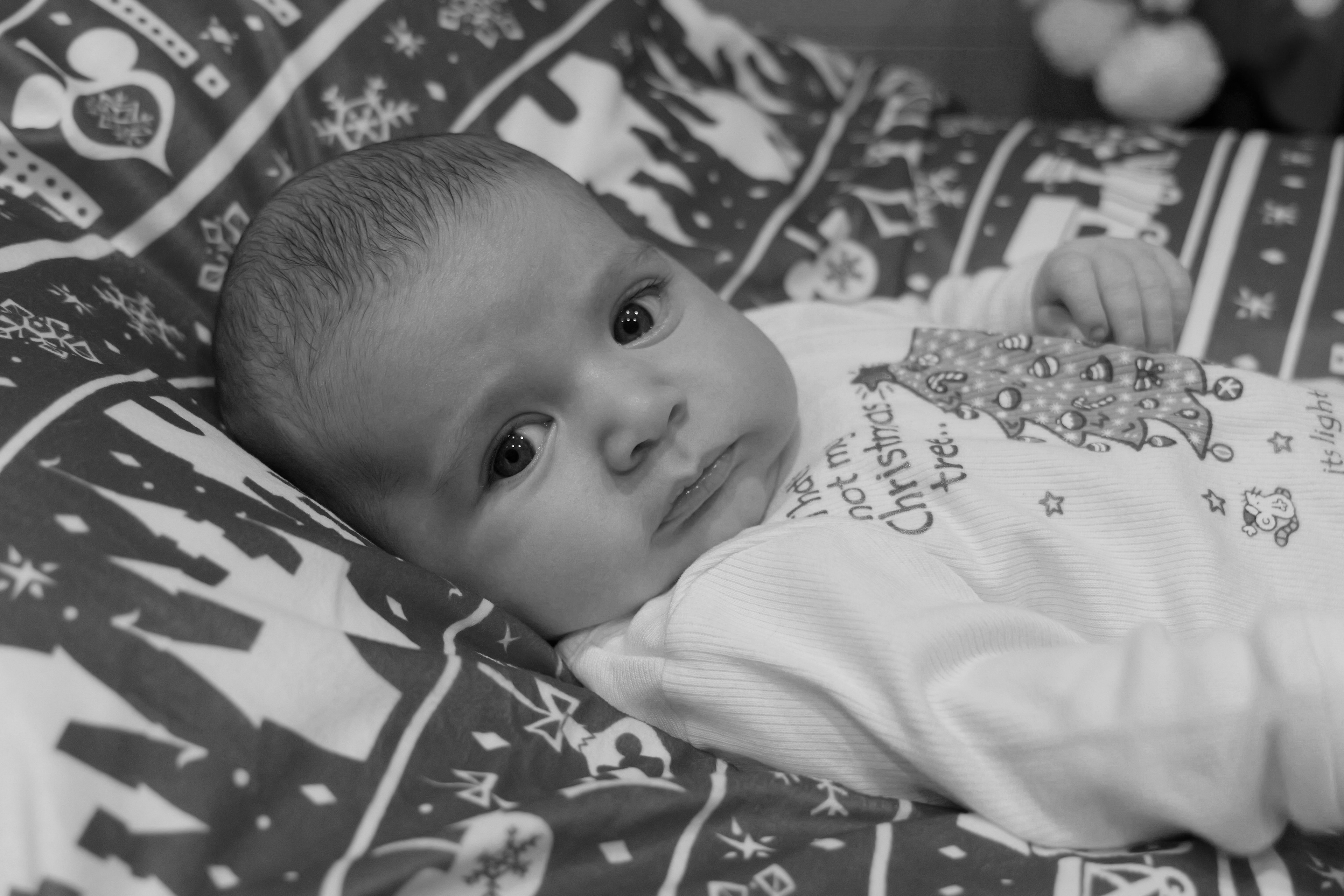 Family Christmas Photos