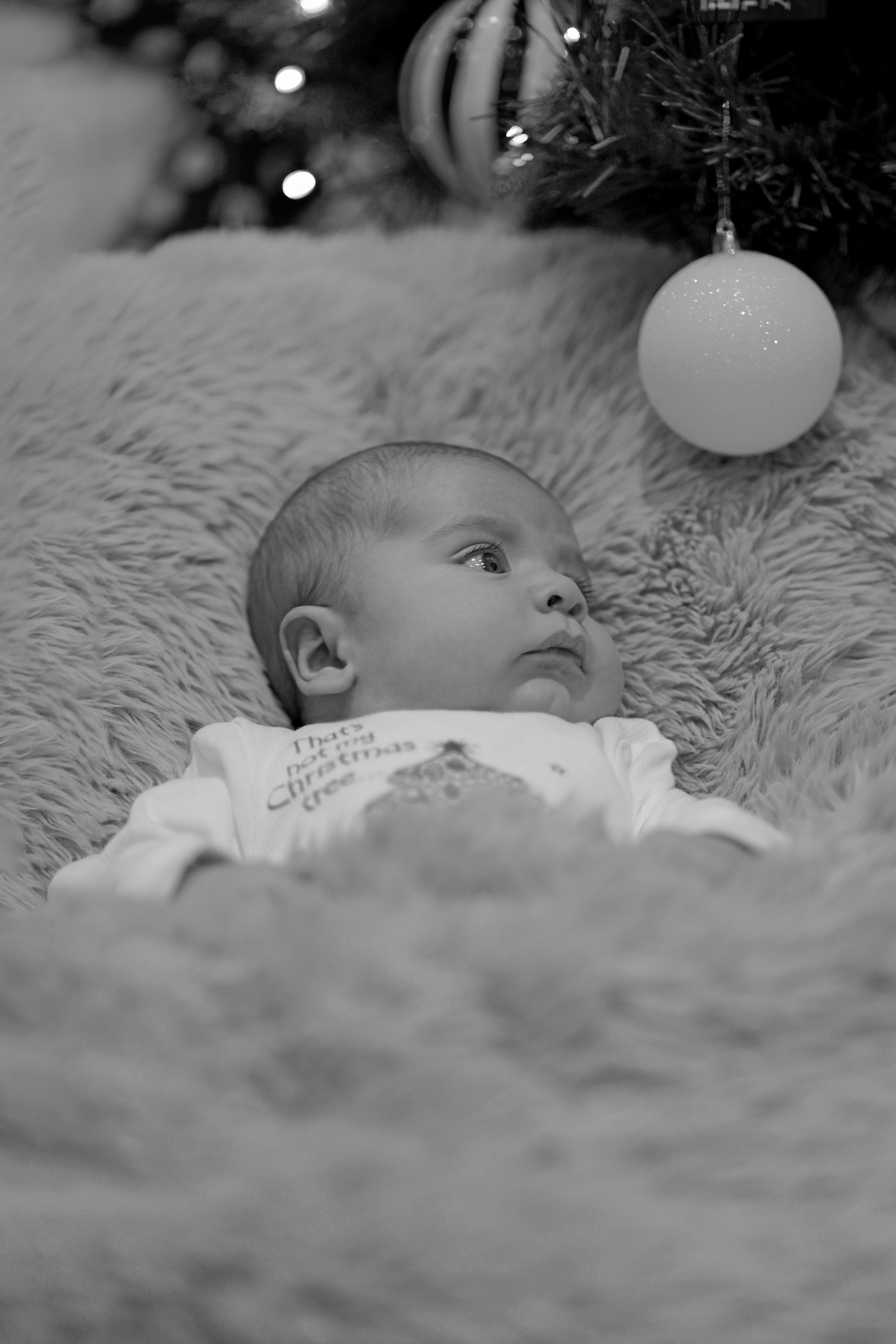 Family Christmas Photos