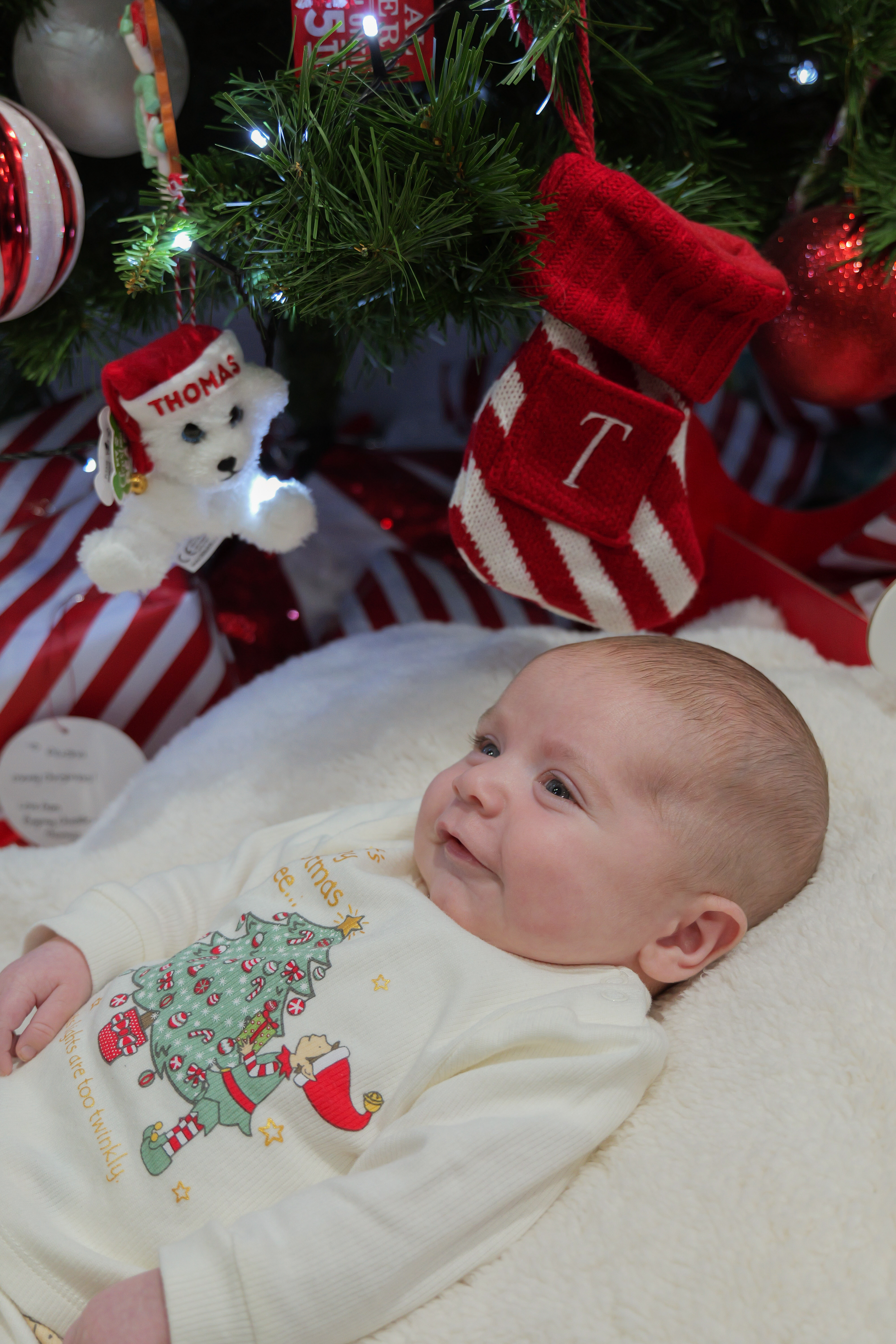 Family Christmas Photos