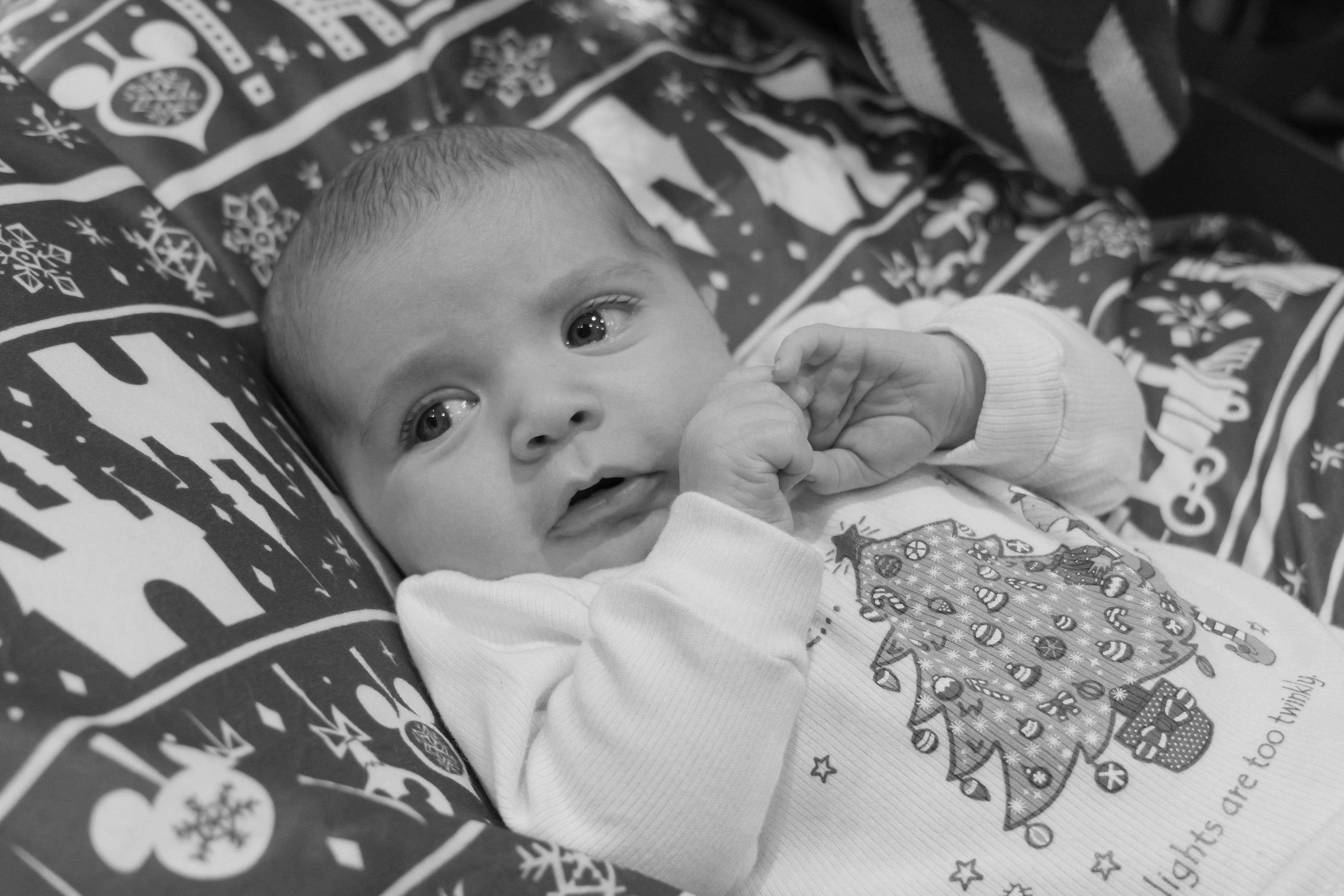 Family Christmas Photos