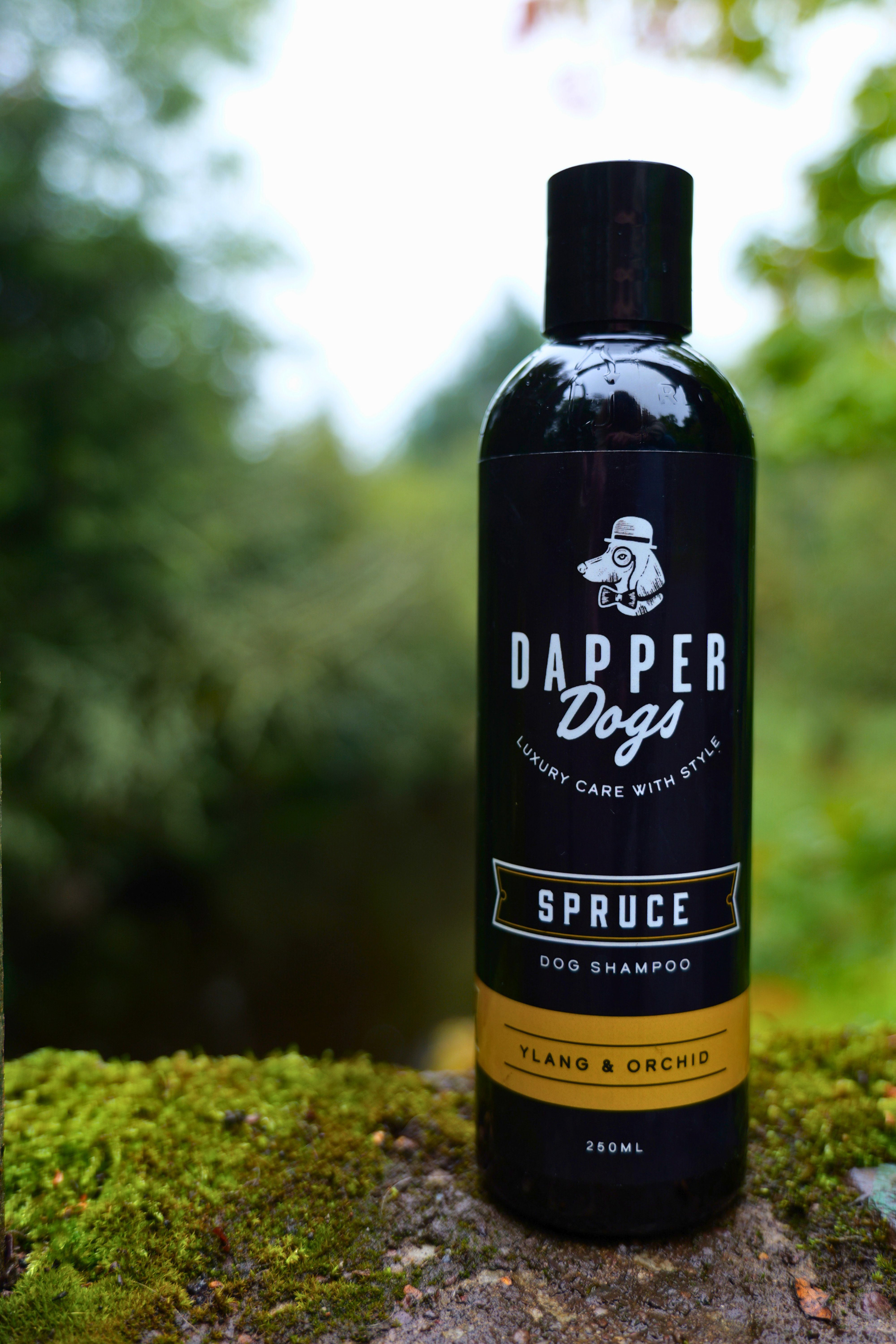 Dapper Dogs Product Photography