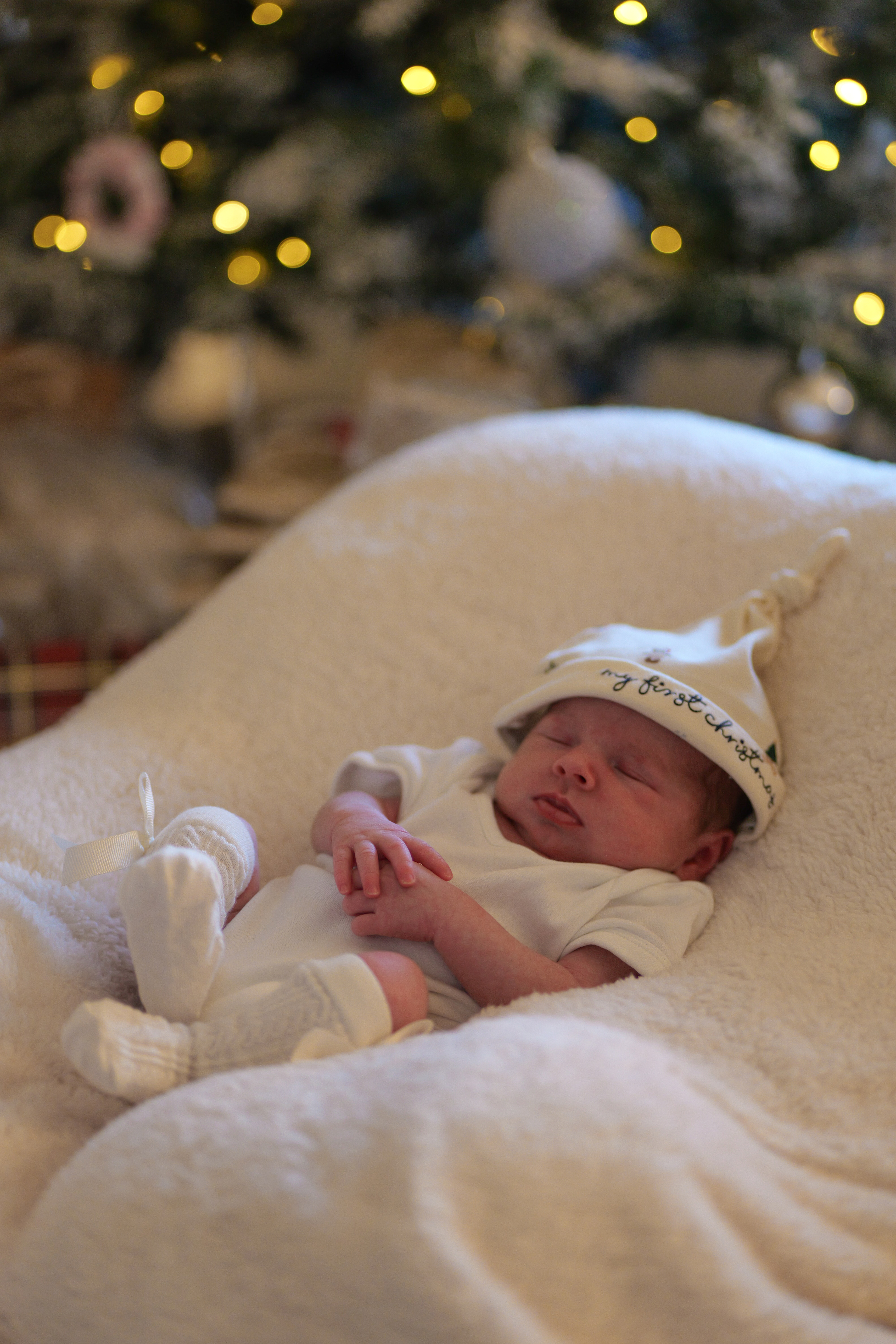 Newborn Christmas Photos