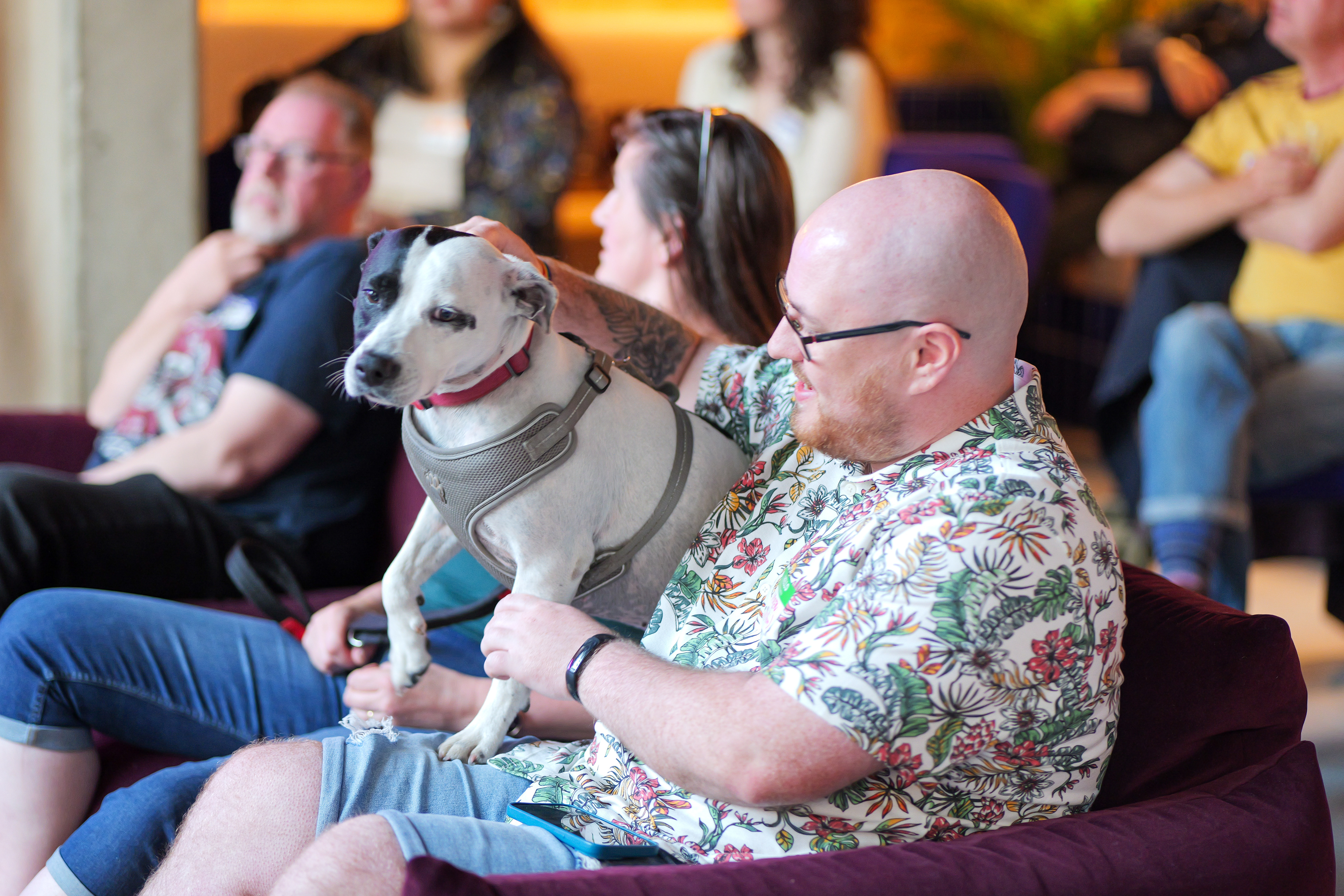 Scottish Creative Network