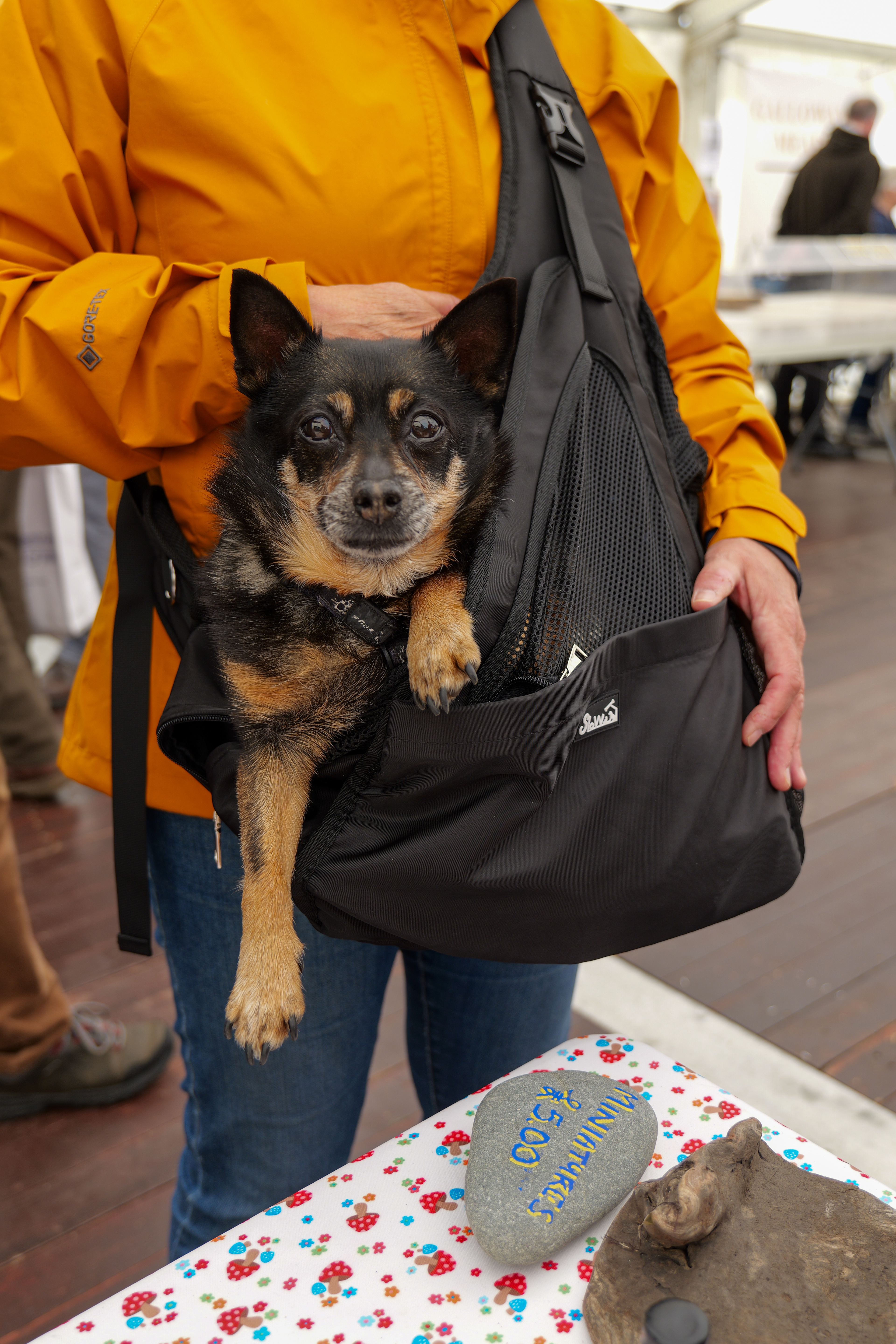 Festival of Ballantrae