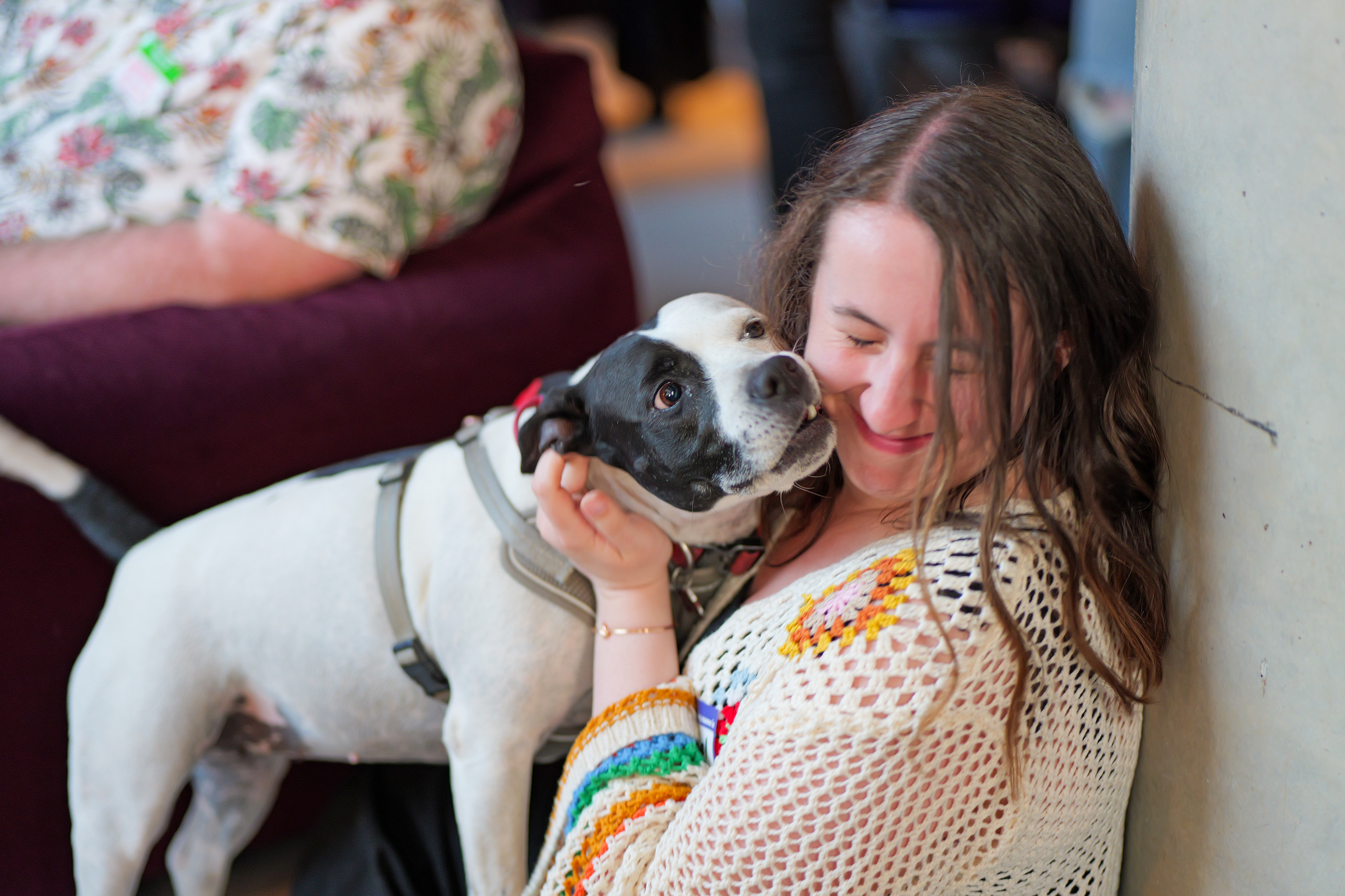 Scottish Creative Network