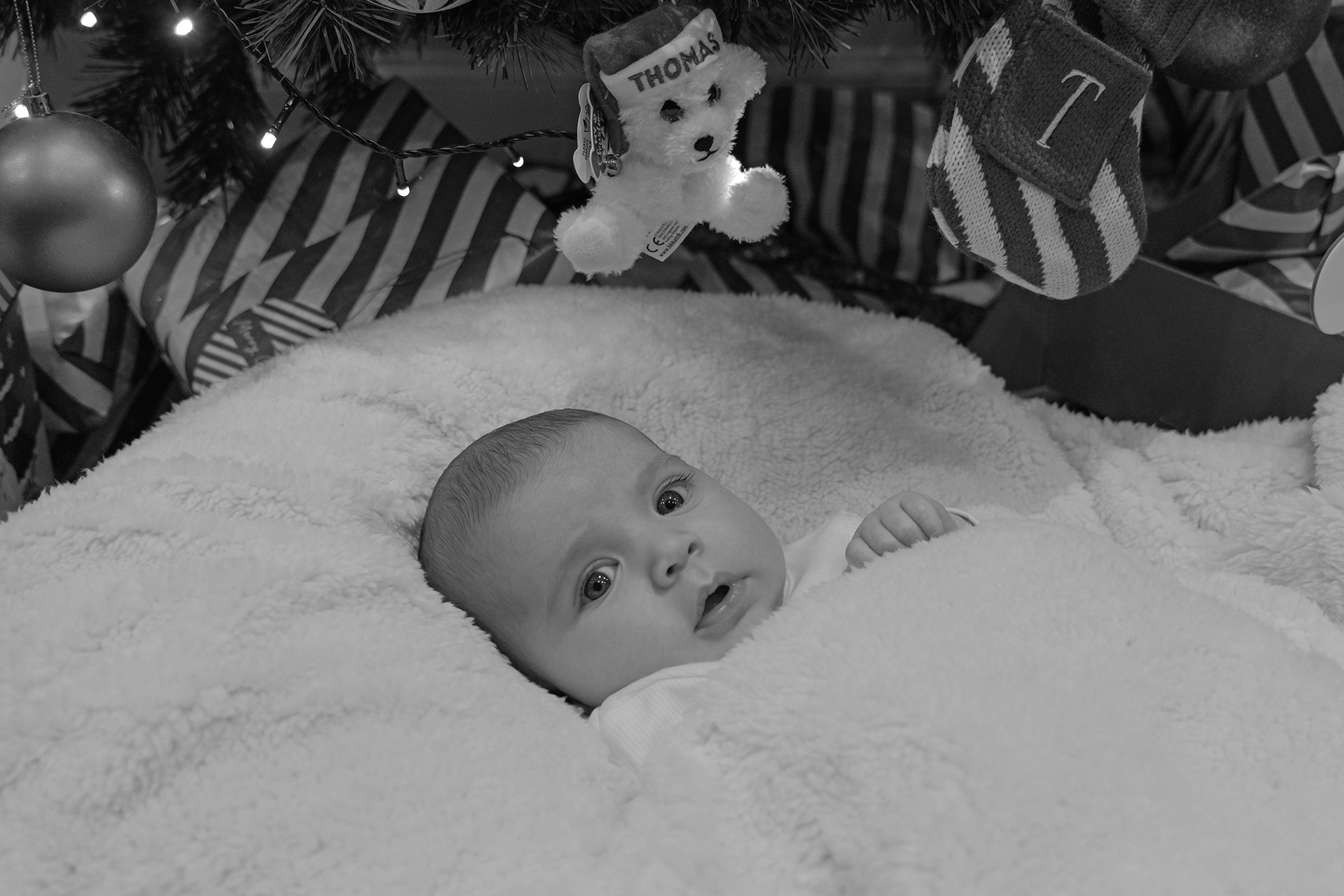 Family Christmas Photos