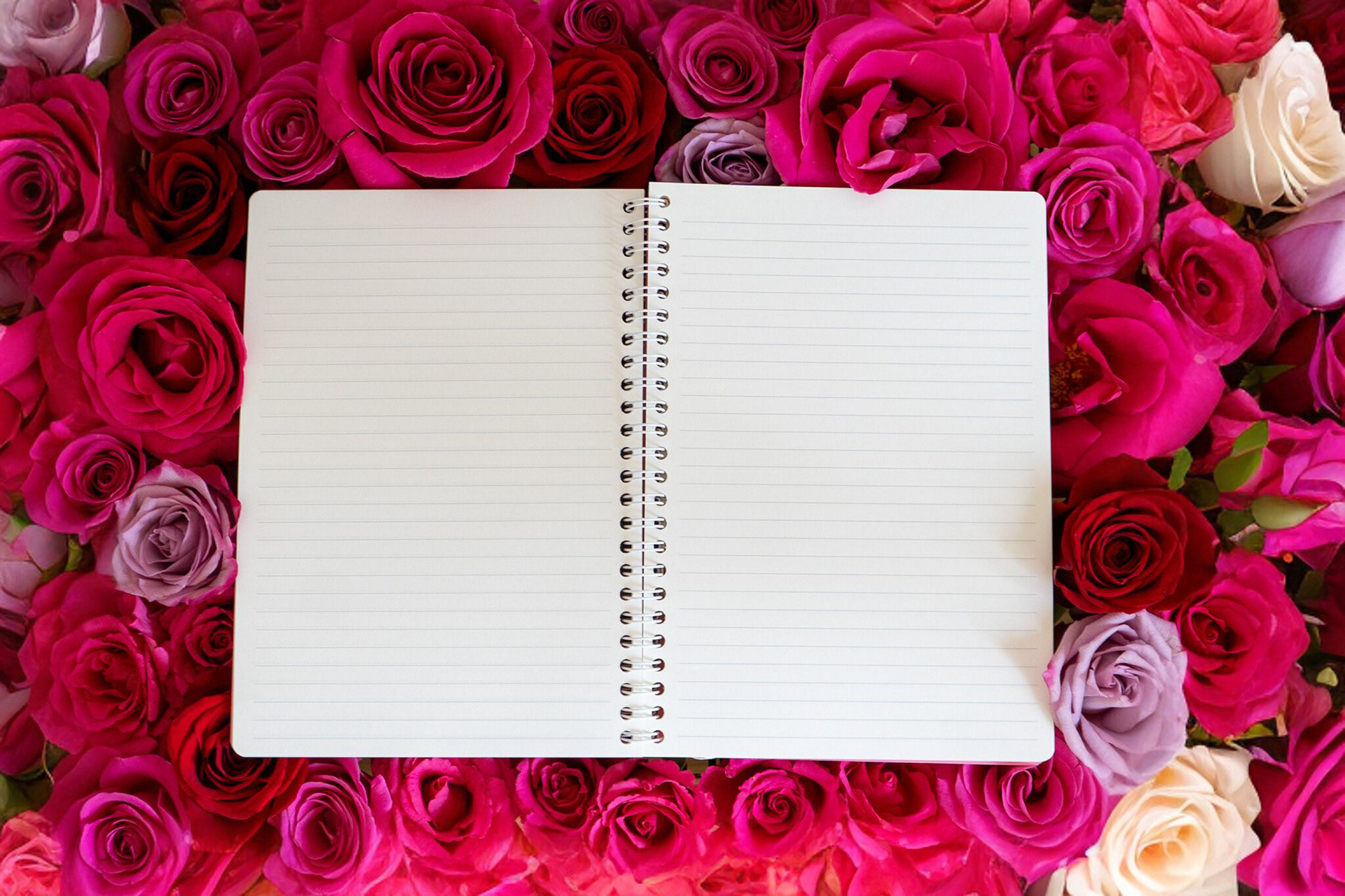 Jumble & Co Product Photography