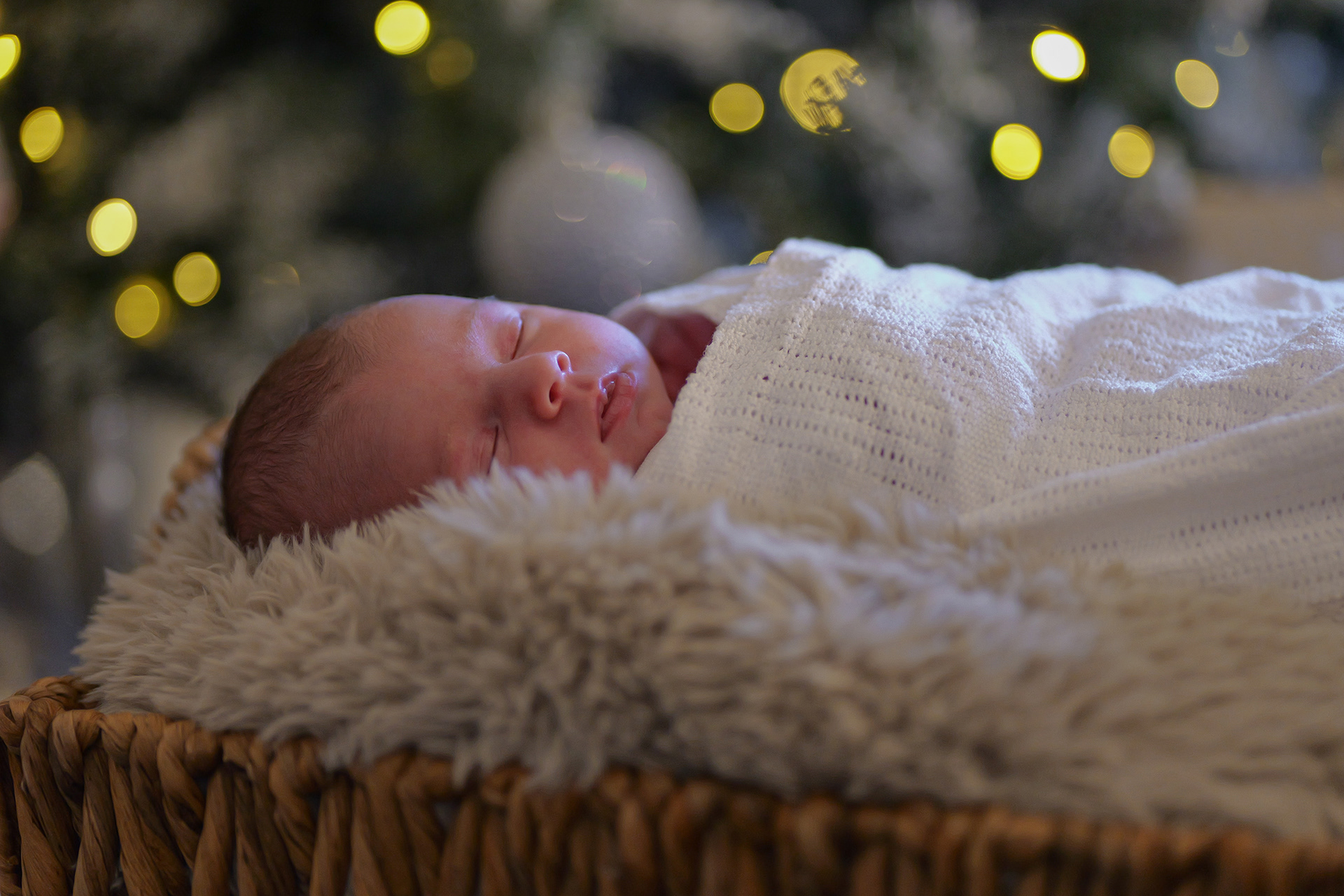 Newborn Christmas Photos