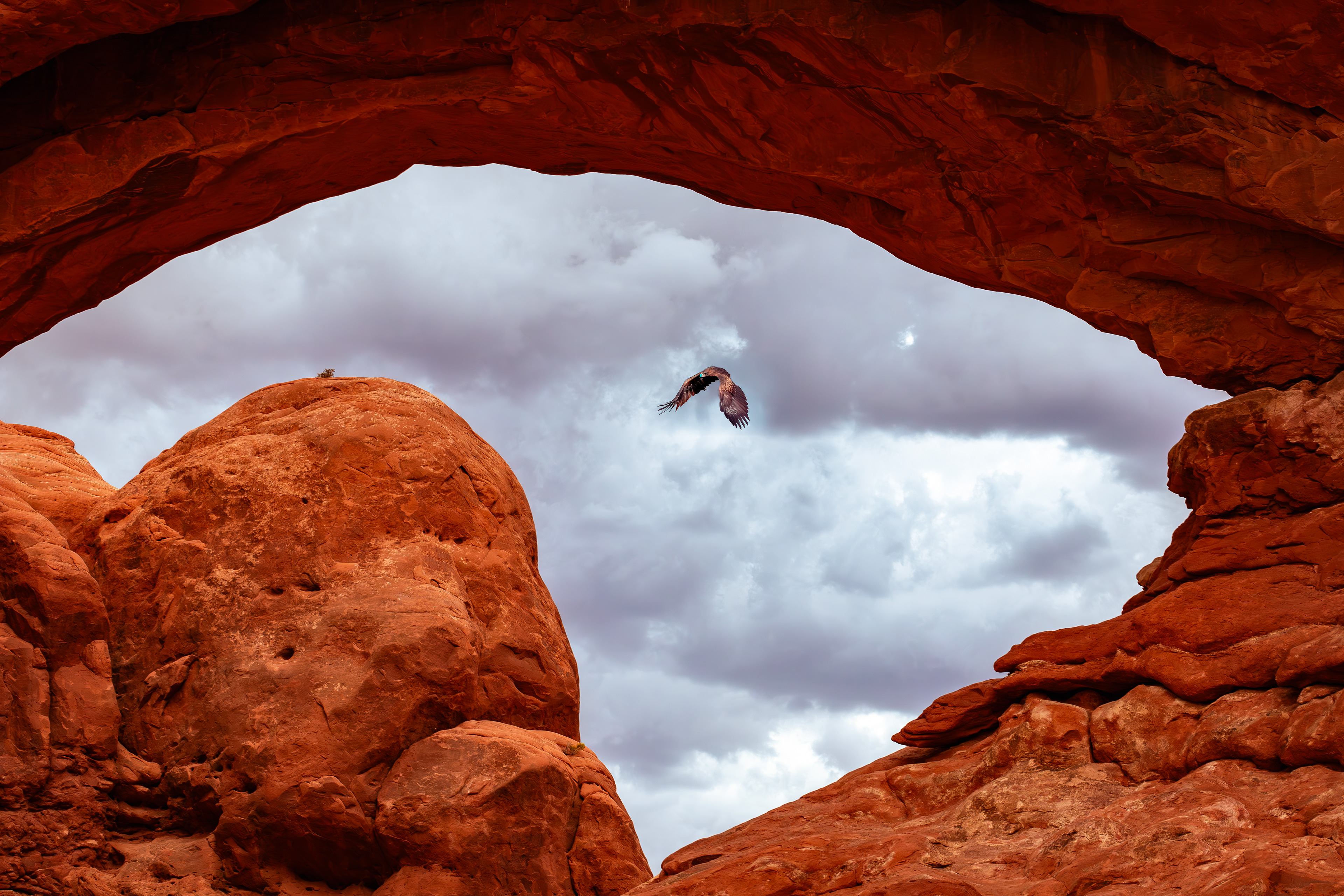 Arches National Park