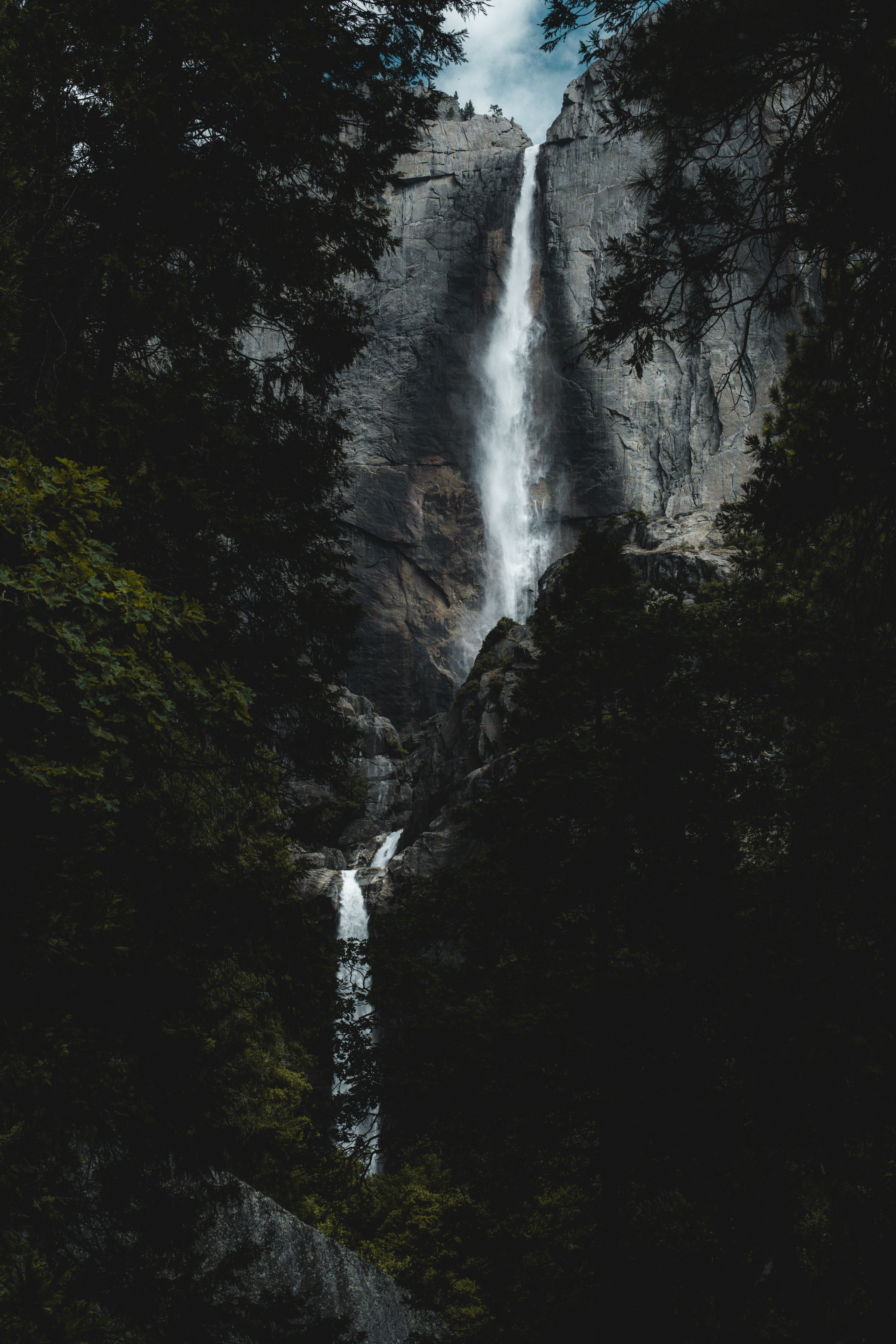 Sequoïa Park