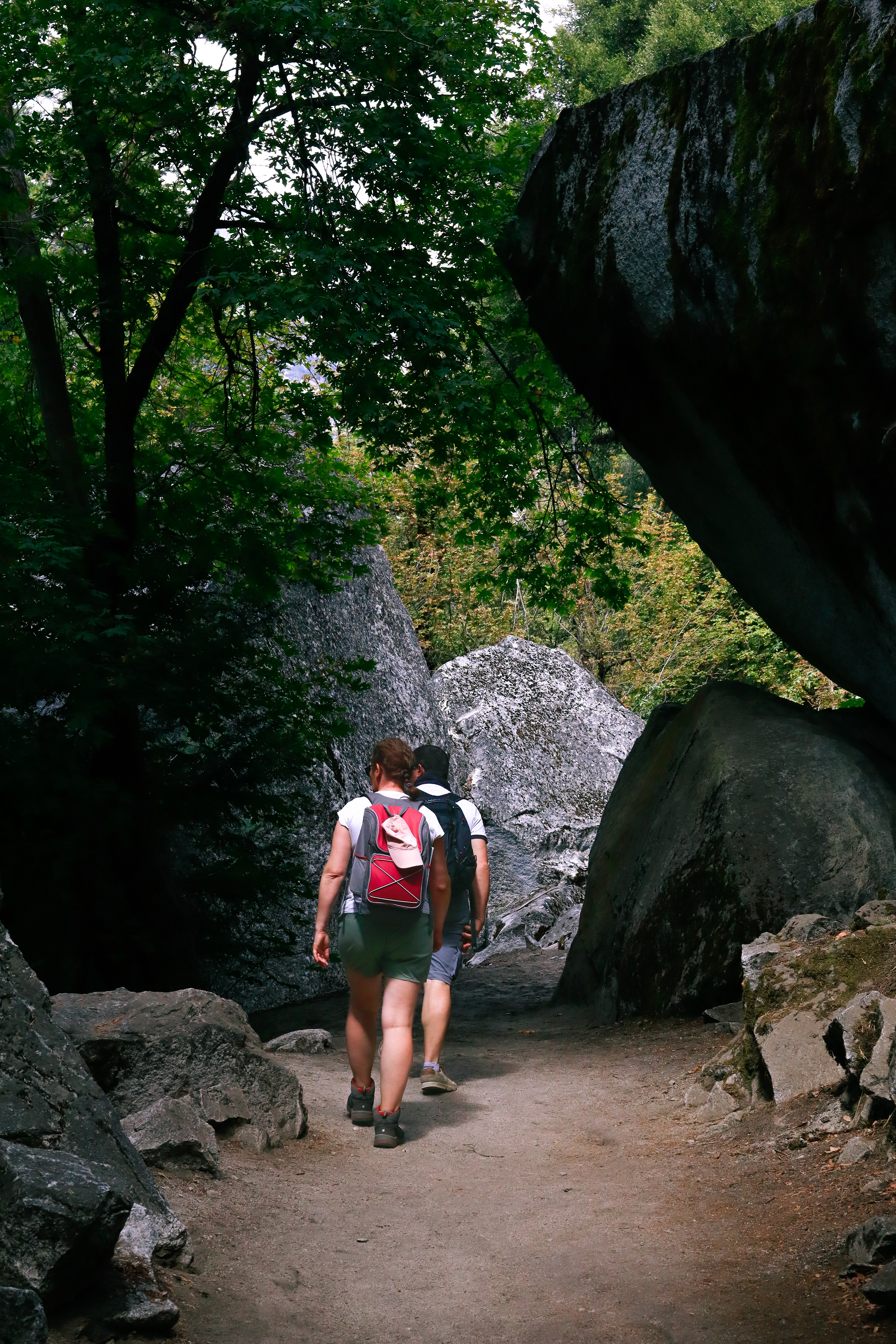 Sequoïa Park