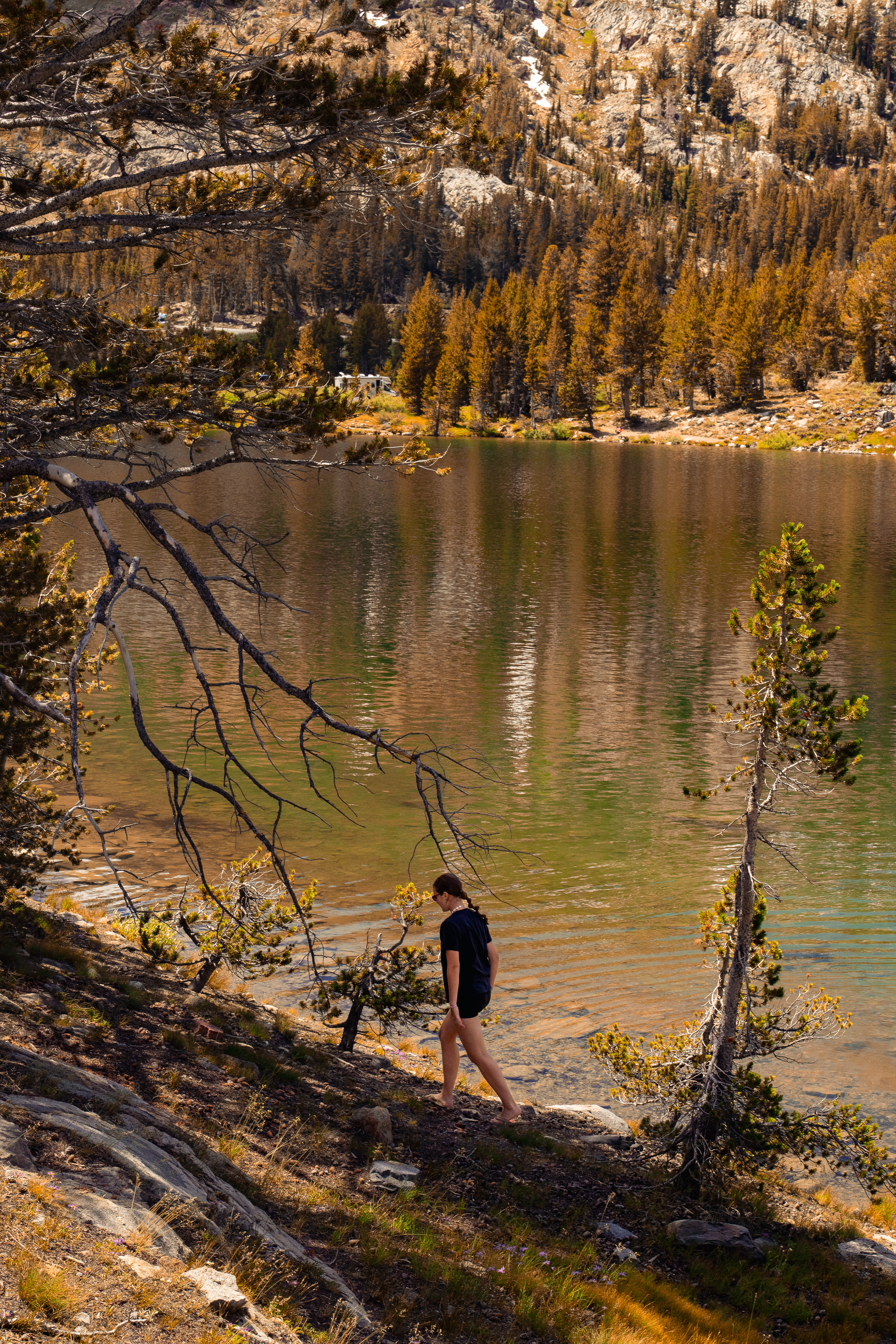 Sequoïa Park