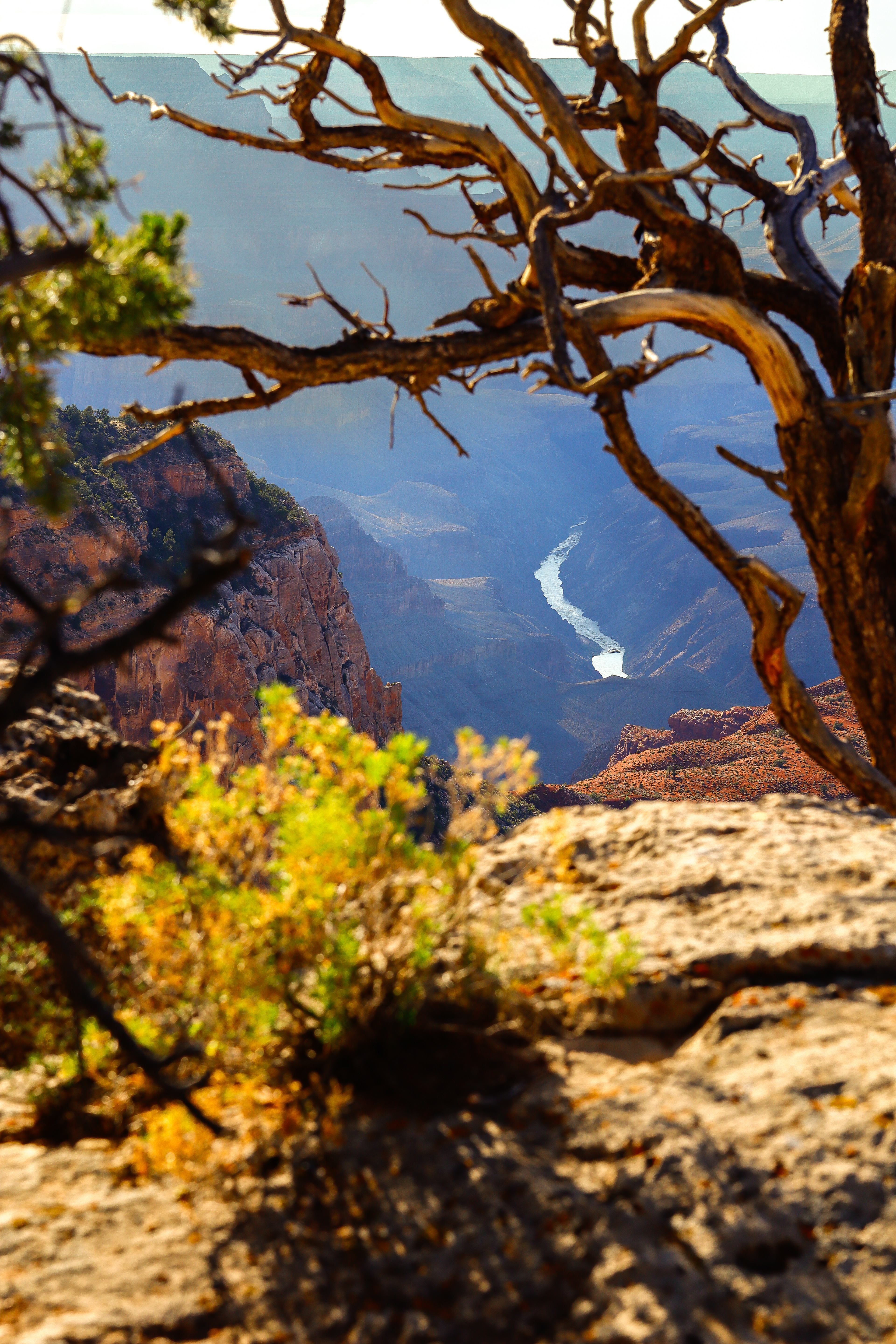 Grand Canyon