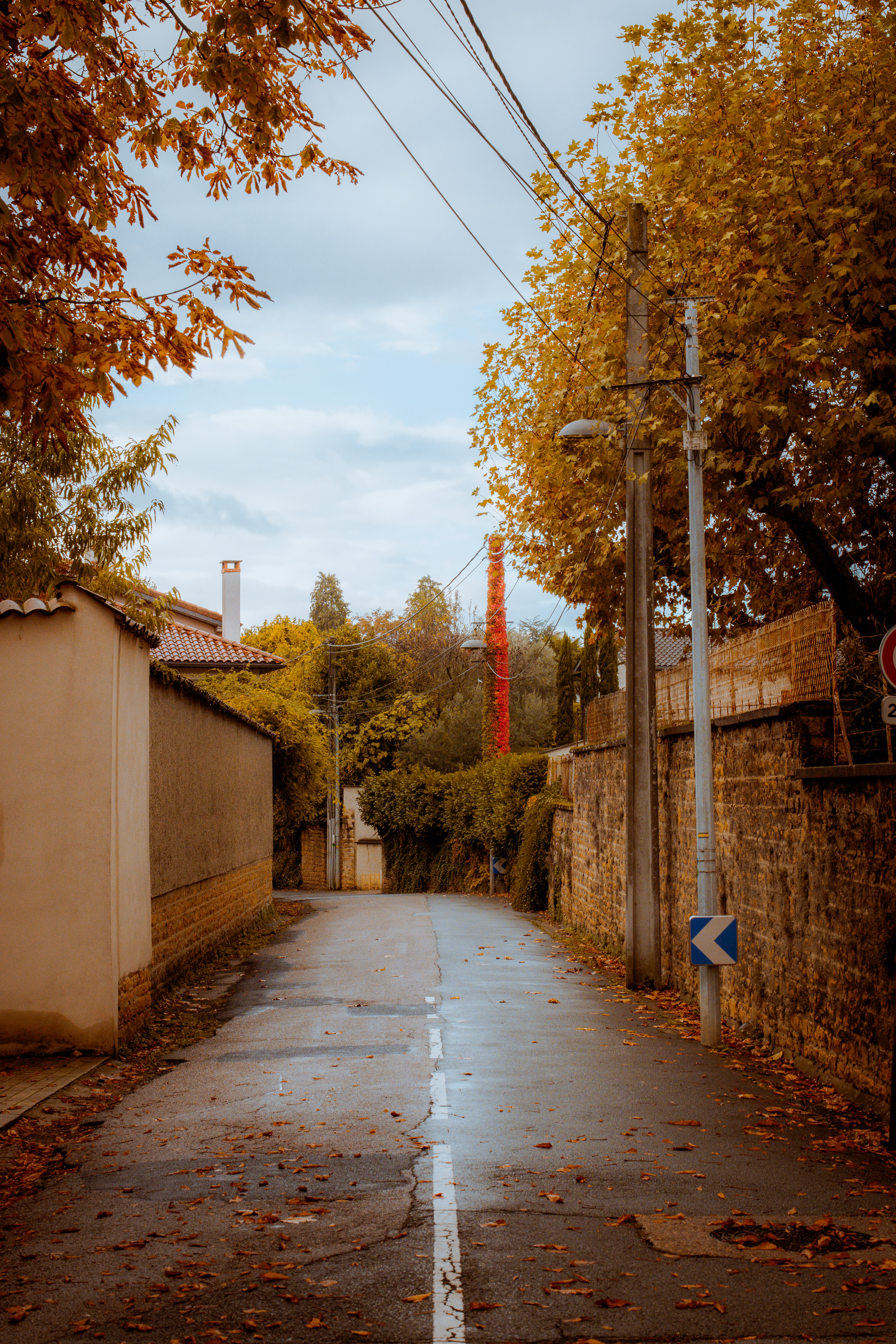 Walking Down the Street