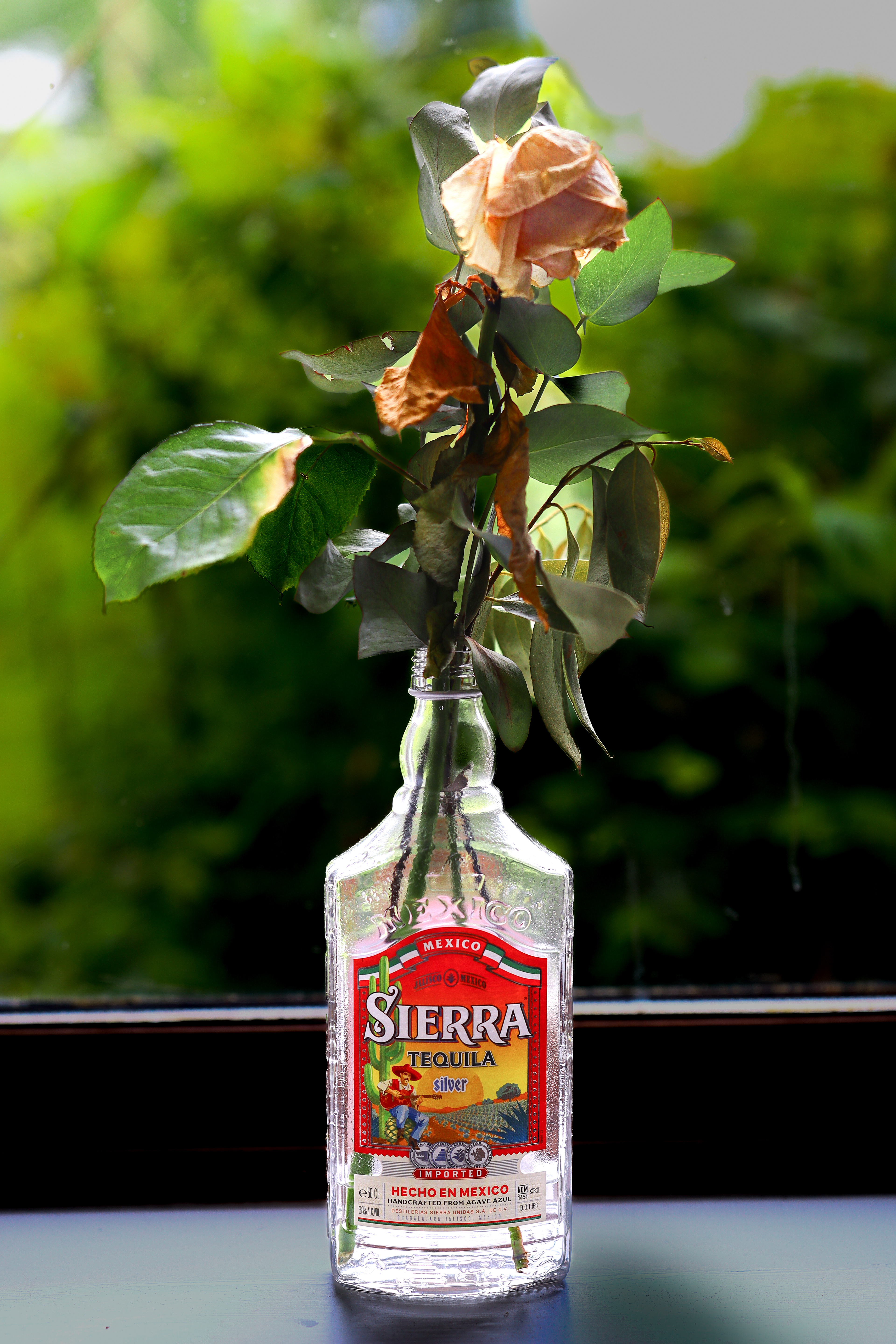 Tequila