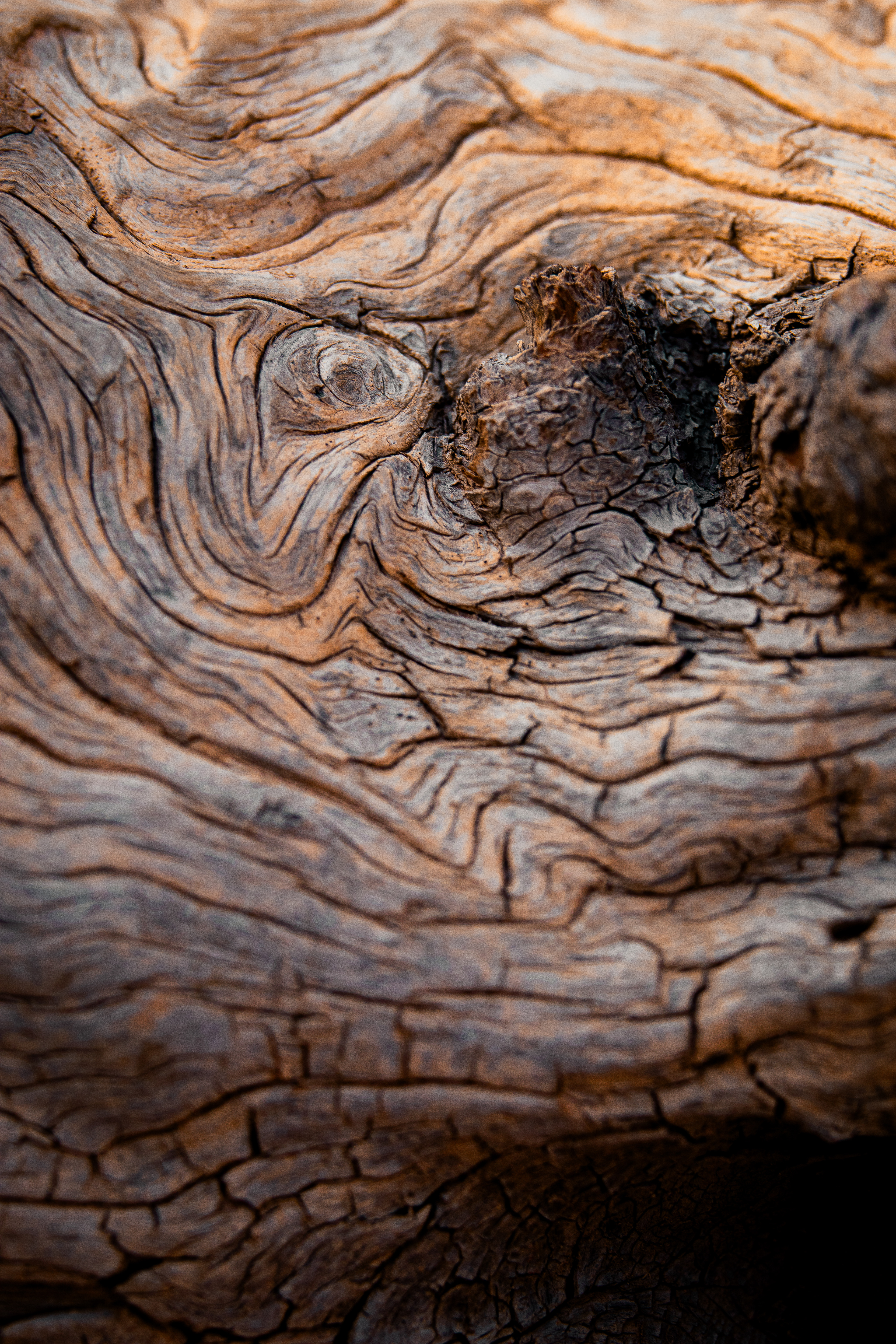 Brice Canyon National Park