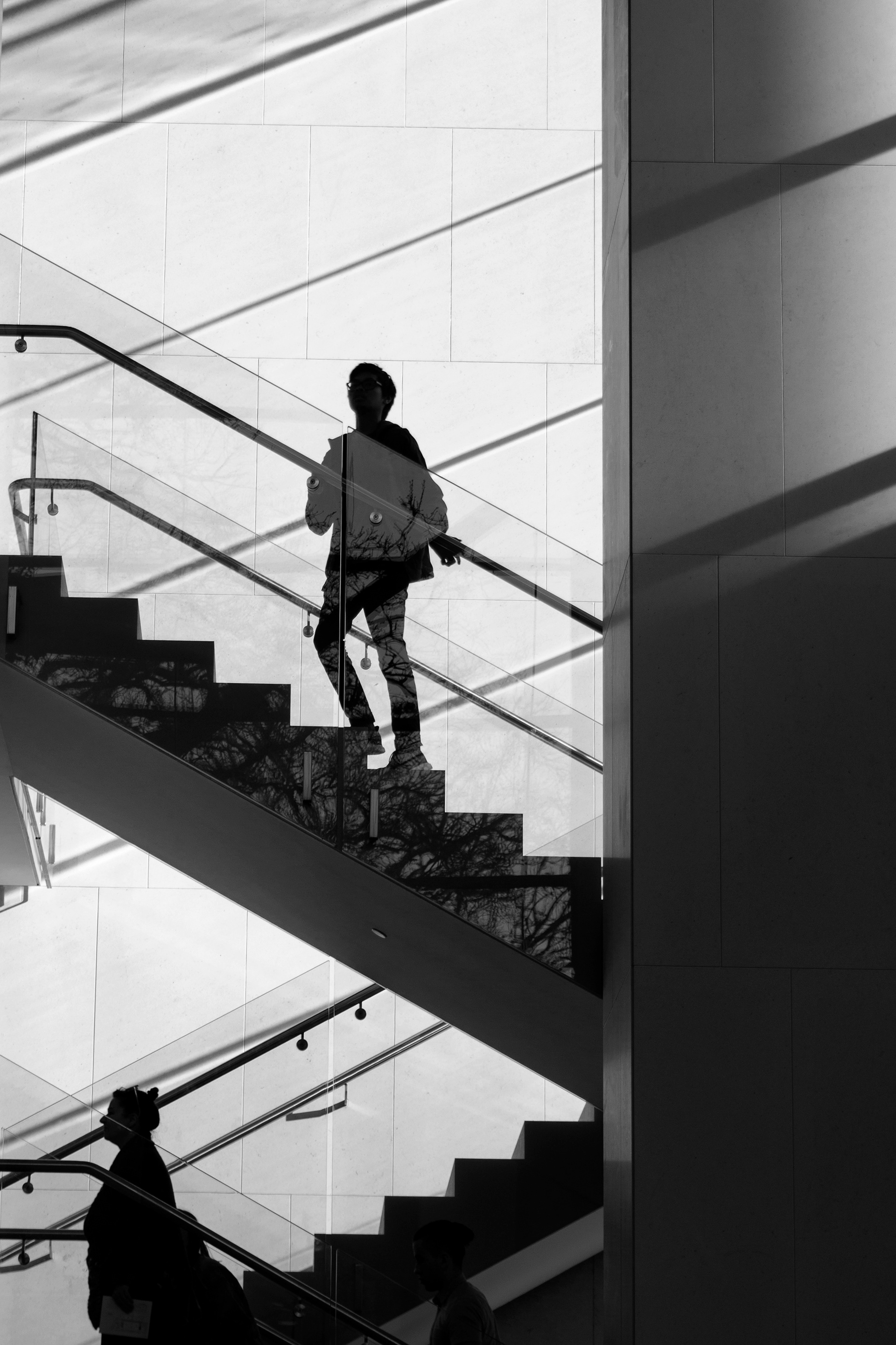 Auckland Art Gallery