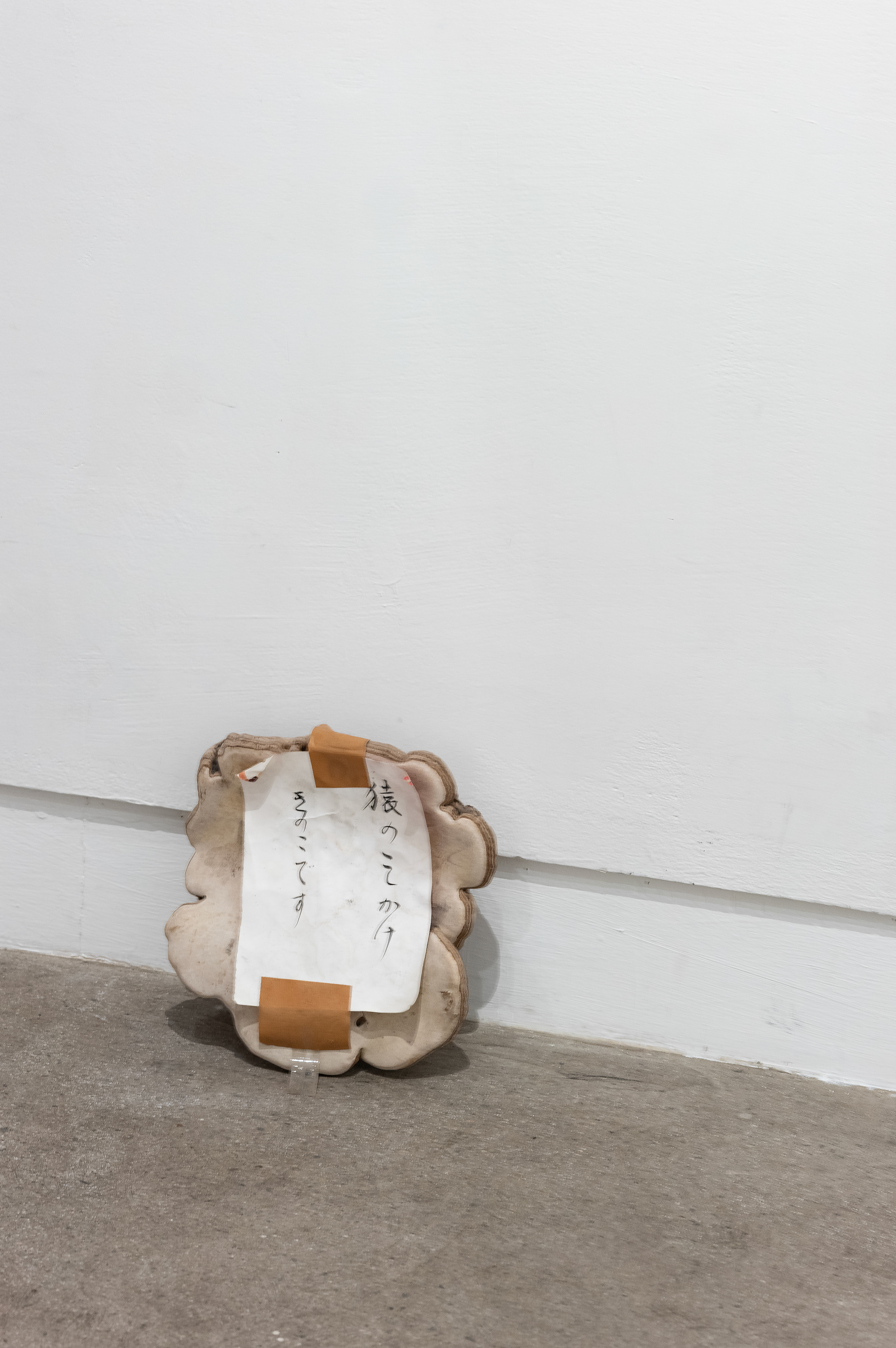 HAGISOの[サルノコシカケ]