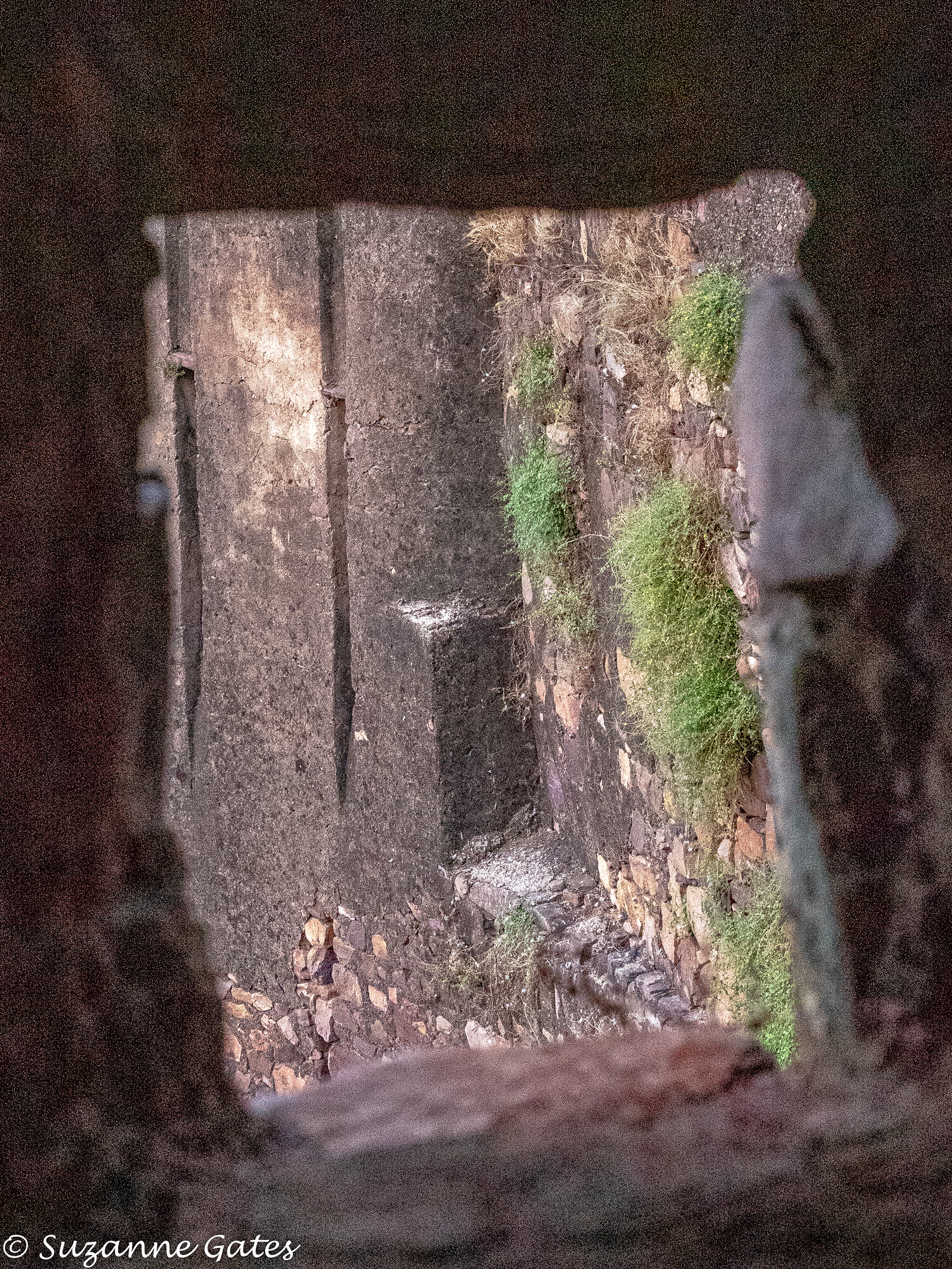 Ranthambore fort