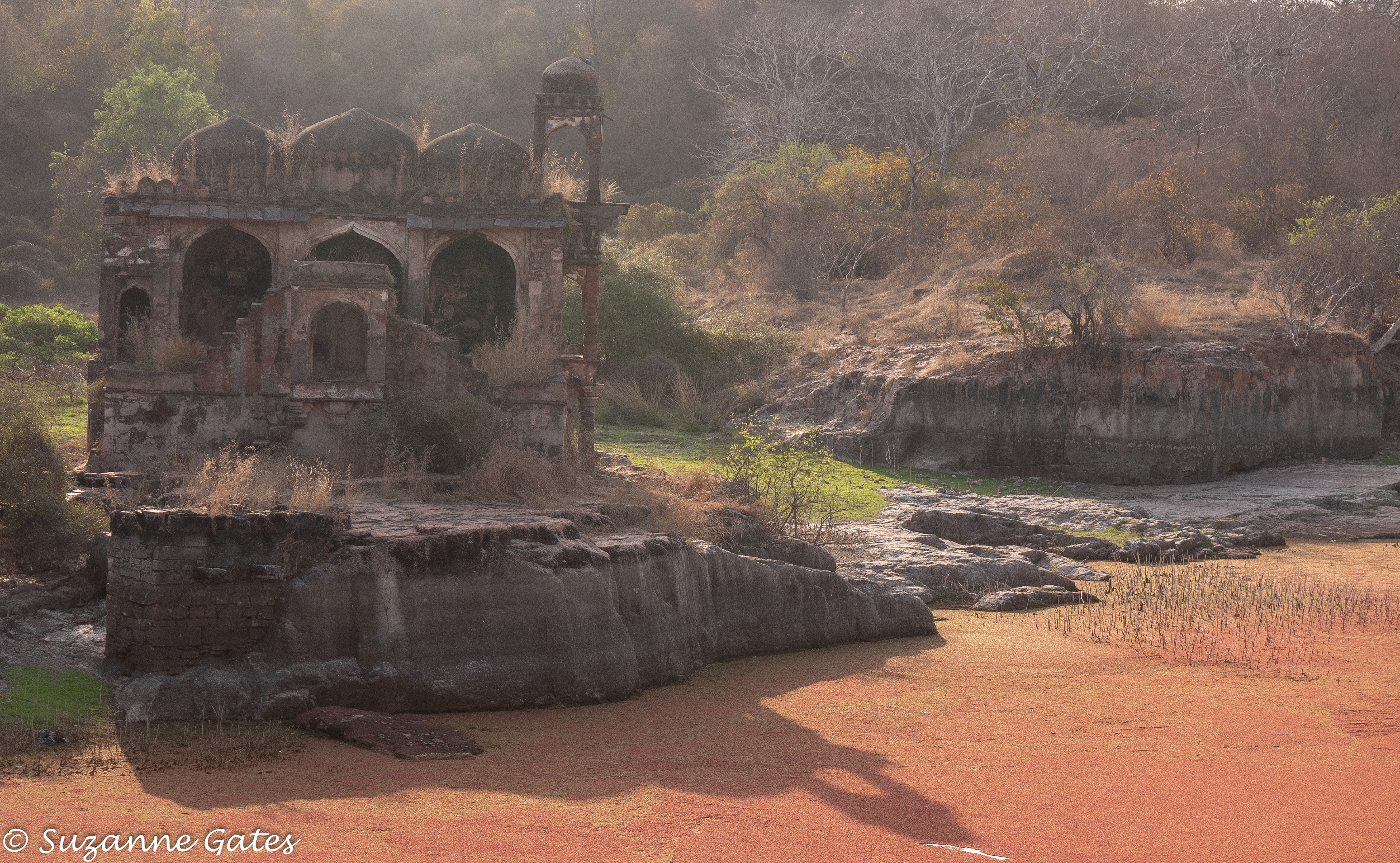 Ranthambore fort