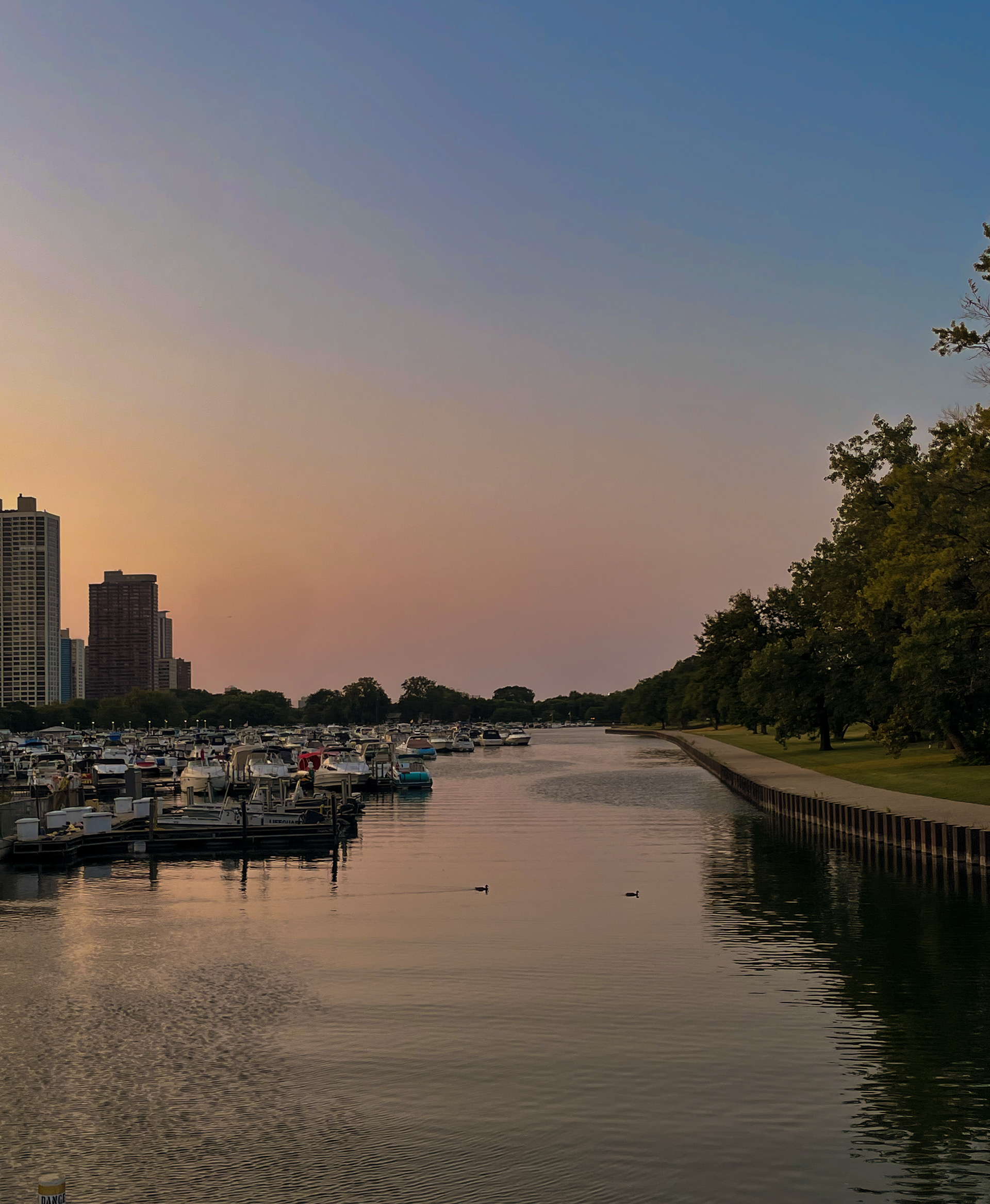 Lincoln Park Sunset