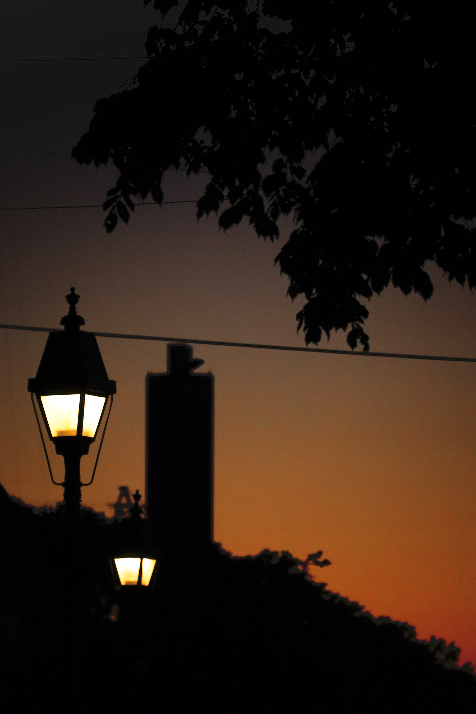 Late Night Lamps