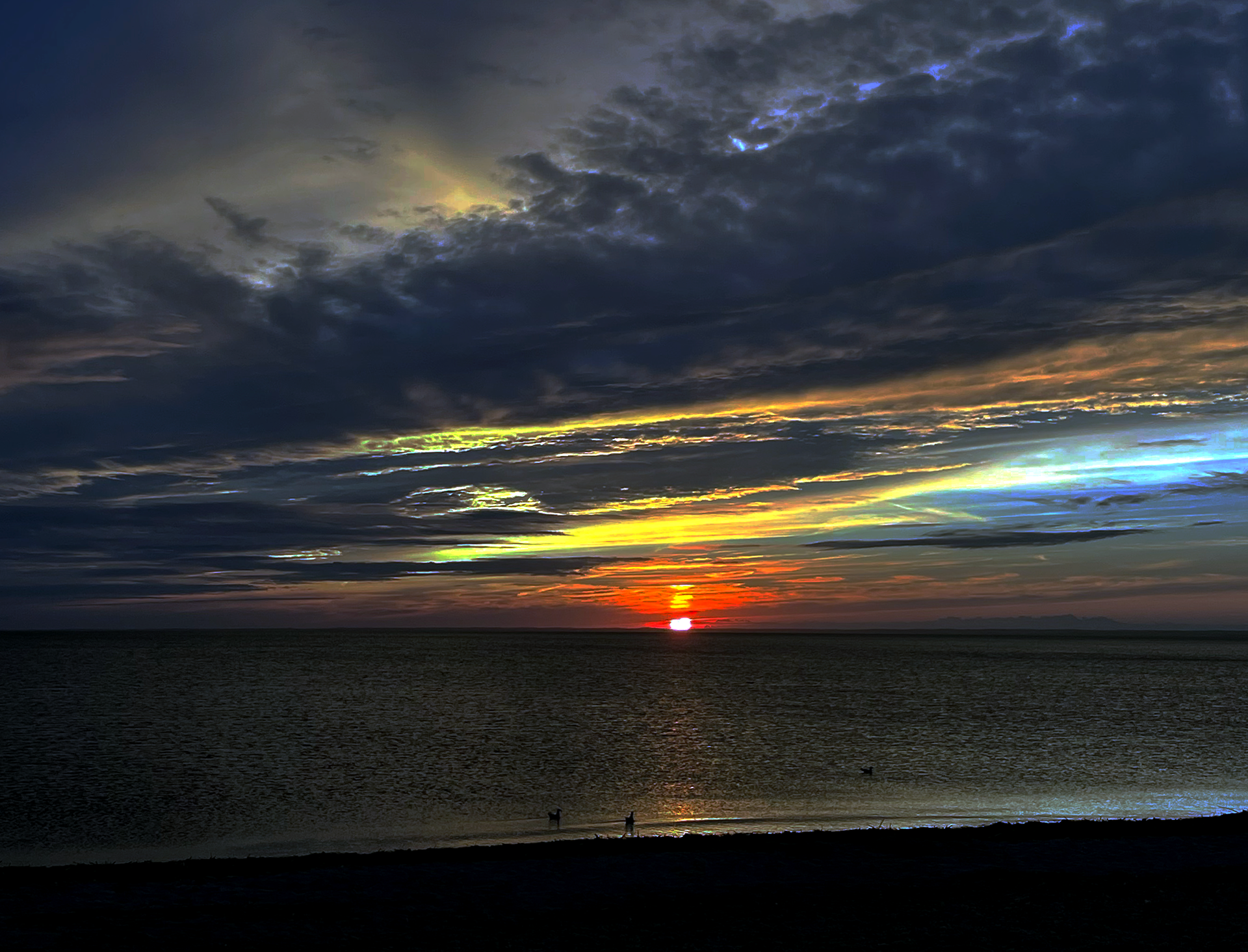 West Meadow Sunset