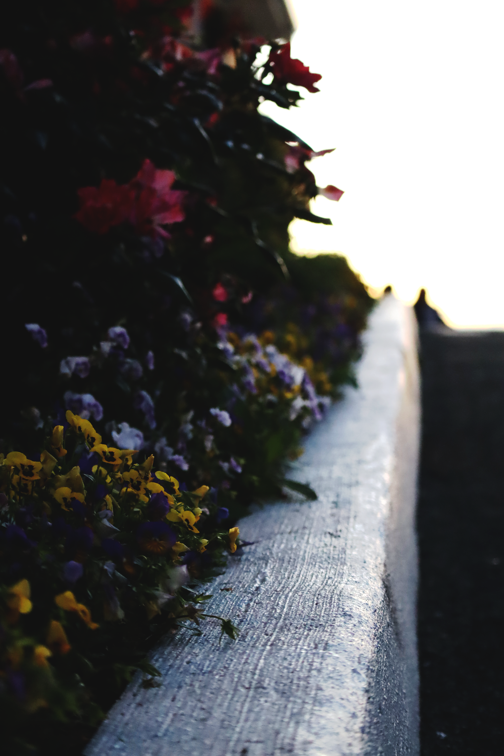 Floral Curb