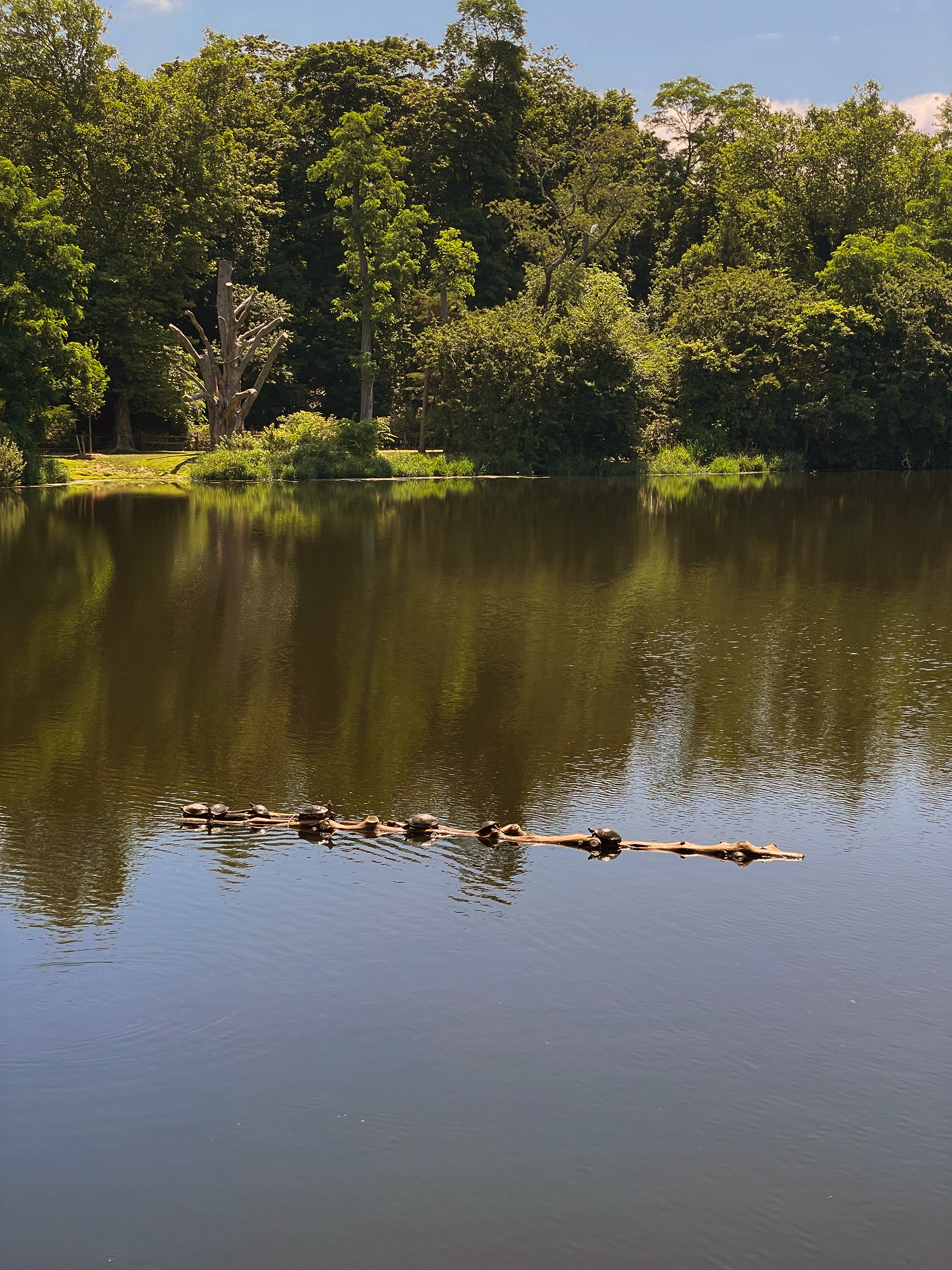 Frank Melville Park