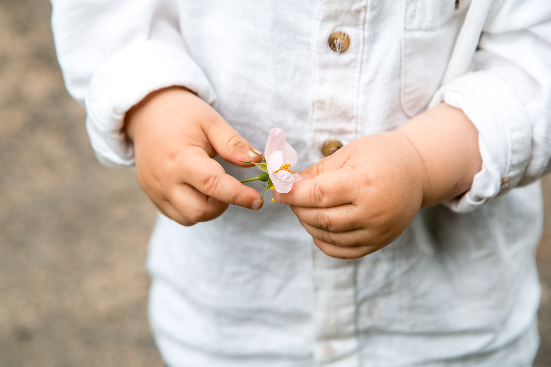 Kleine Kinderhände mit Blume
