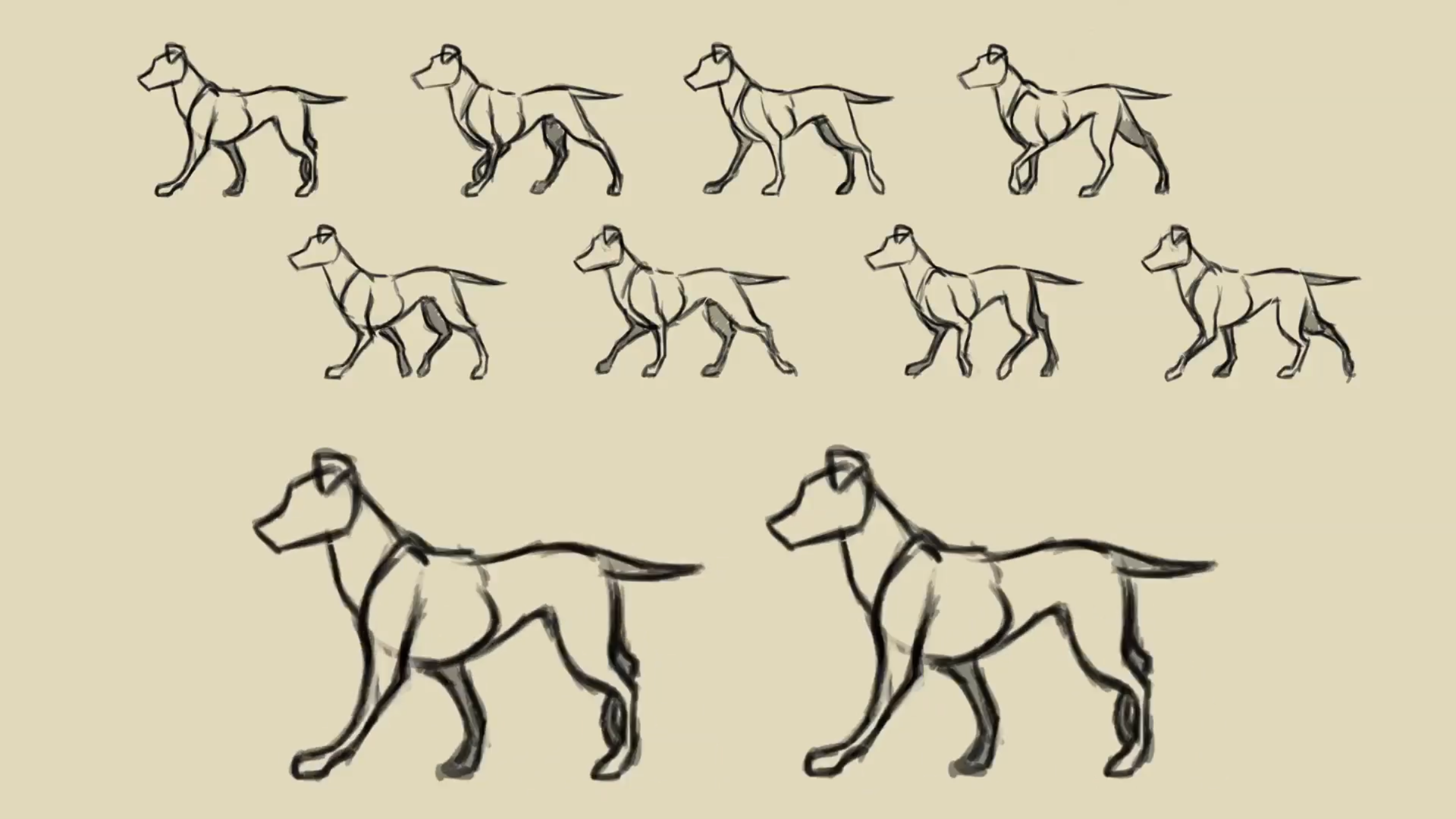 walk cycle study