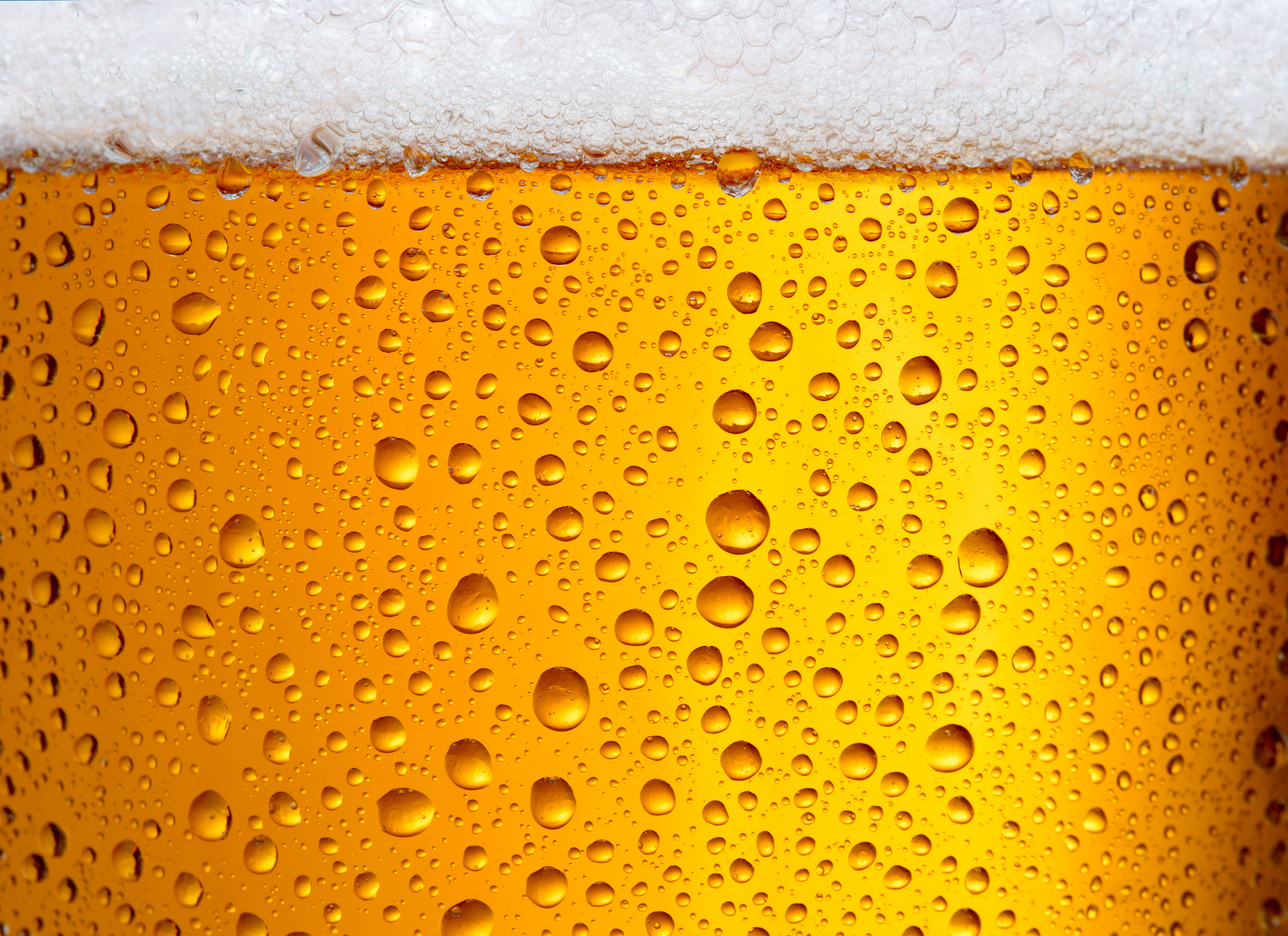 Beer texture file from Stock added to the bottle in Dimension