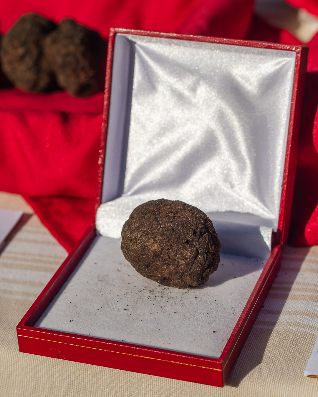 Truffes