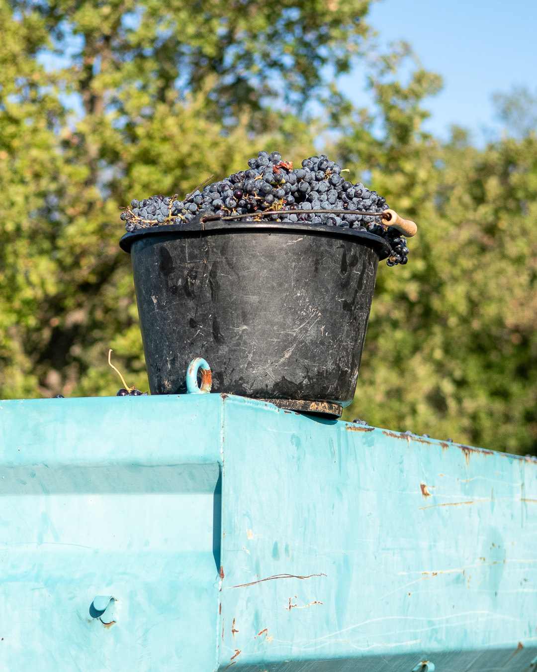 Domaine Bonetto-Fabrol