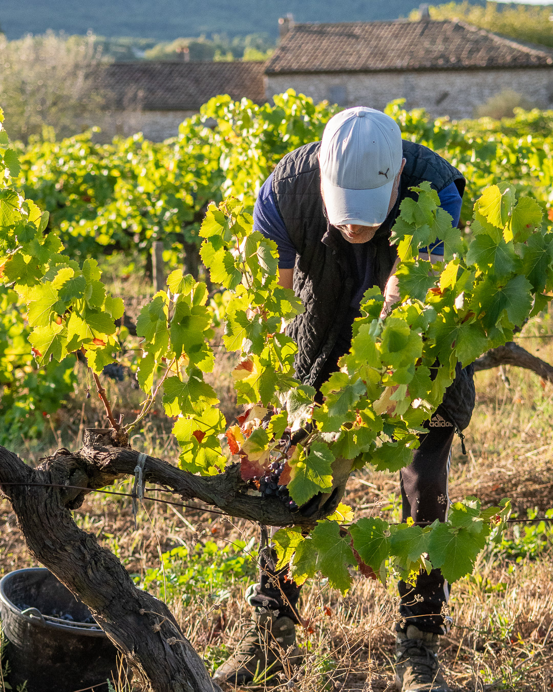 Domaine Bonetto-Fabrol