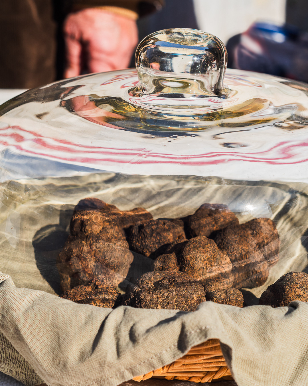 Truffes