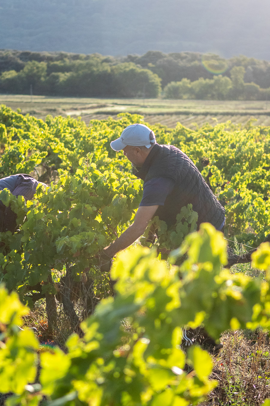 Domaine Bonetto-Fabrol
