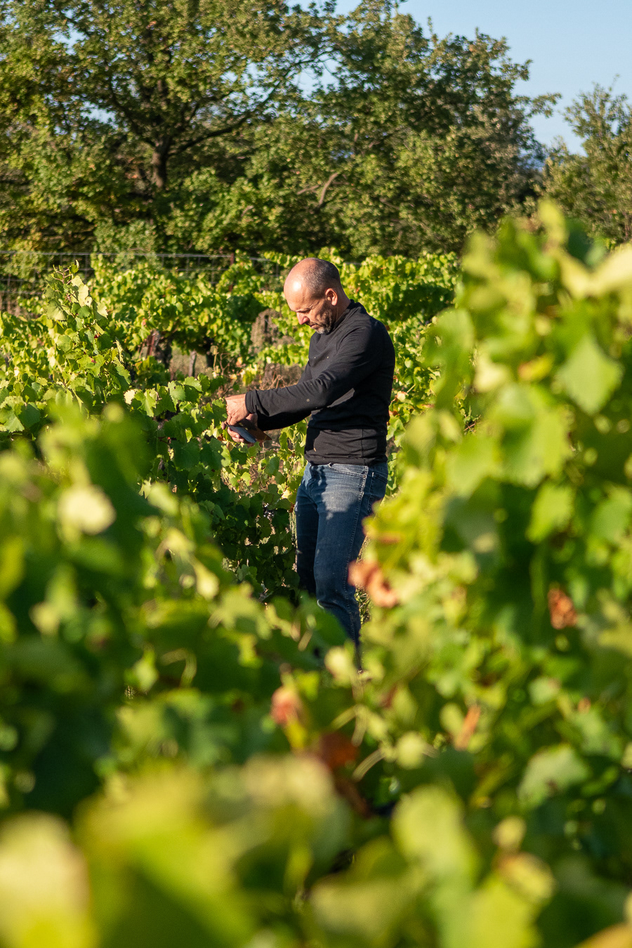 Domaine Bonetto-Fabrol