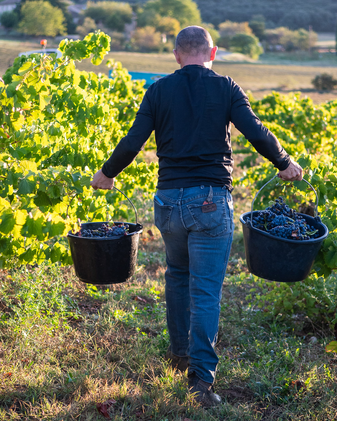 Domaine Bonetto-Fabrol