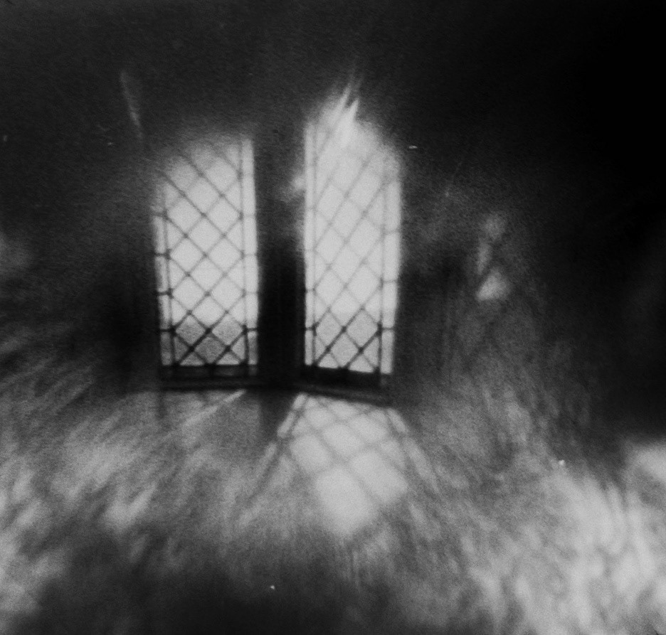 Untitled Caffenol Print