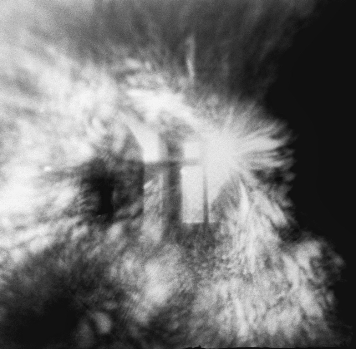 Untitled Caffenol Print