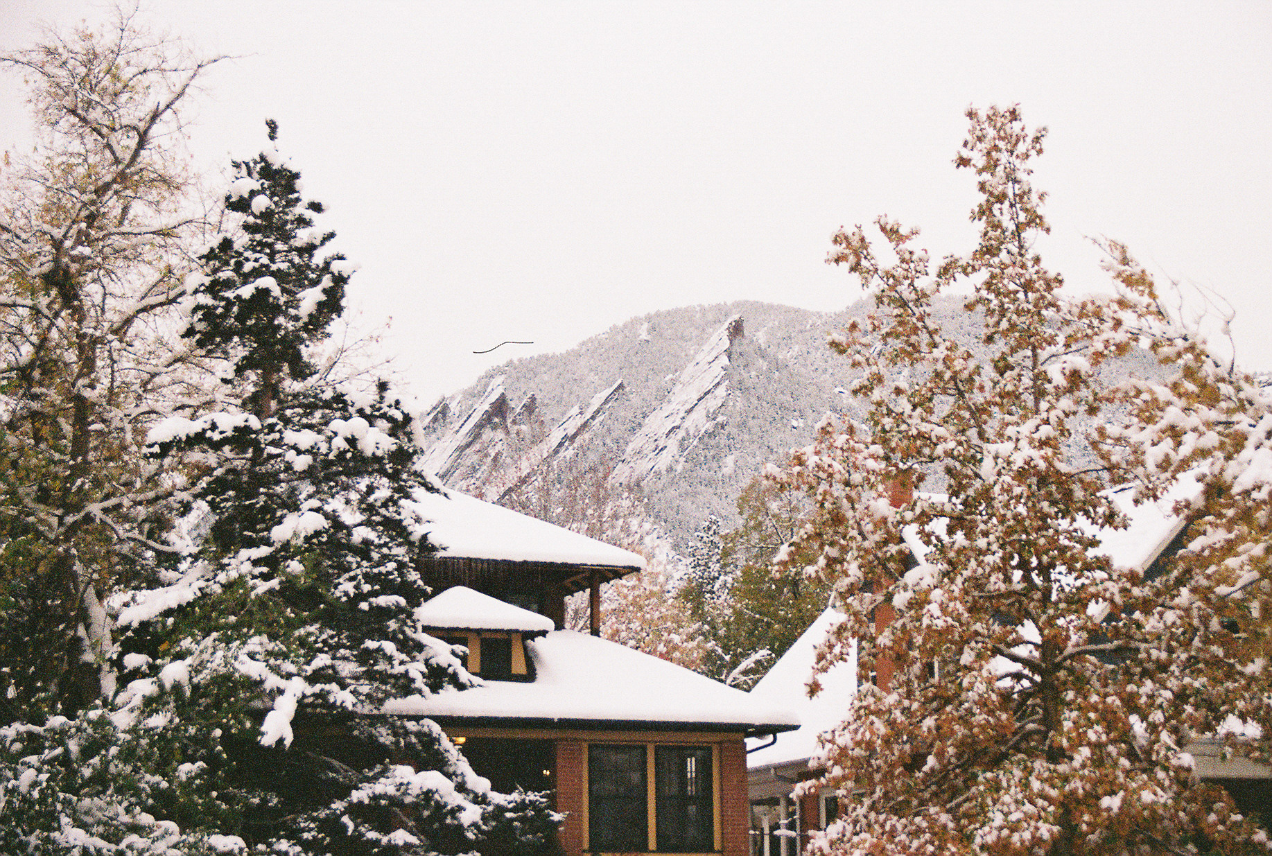 35mm film - boulder, colorado