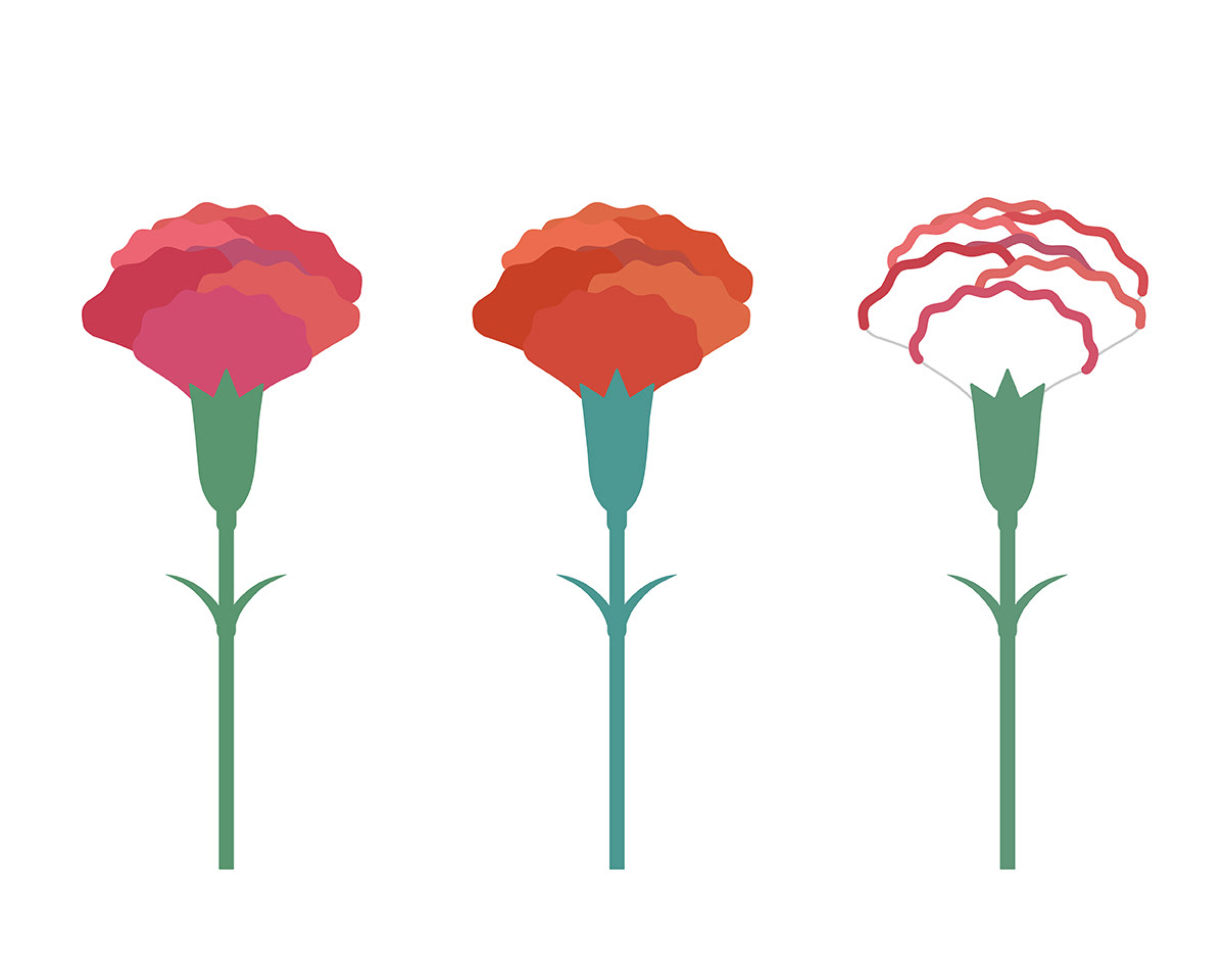 illustration of carnation カーネーションのイラスト
