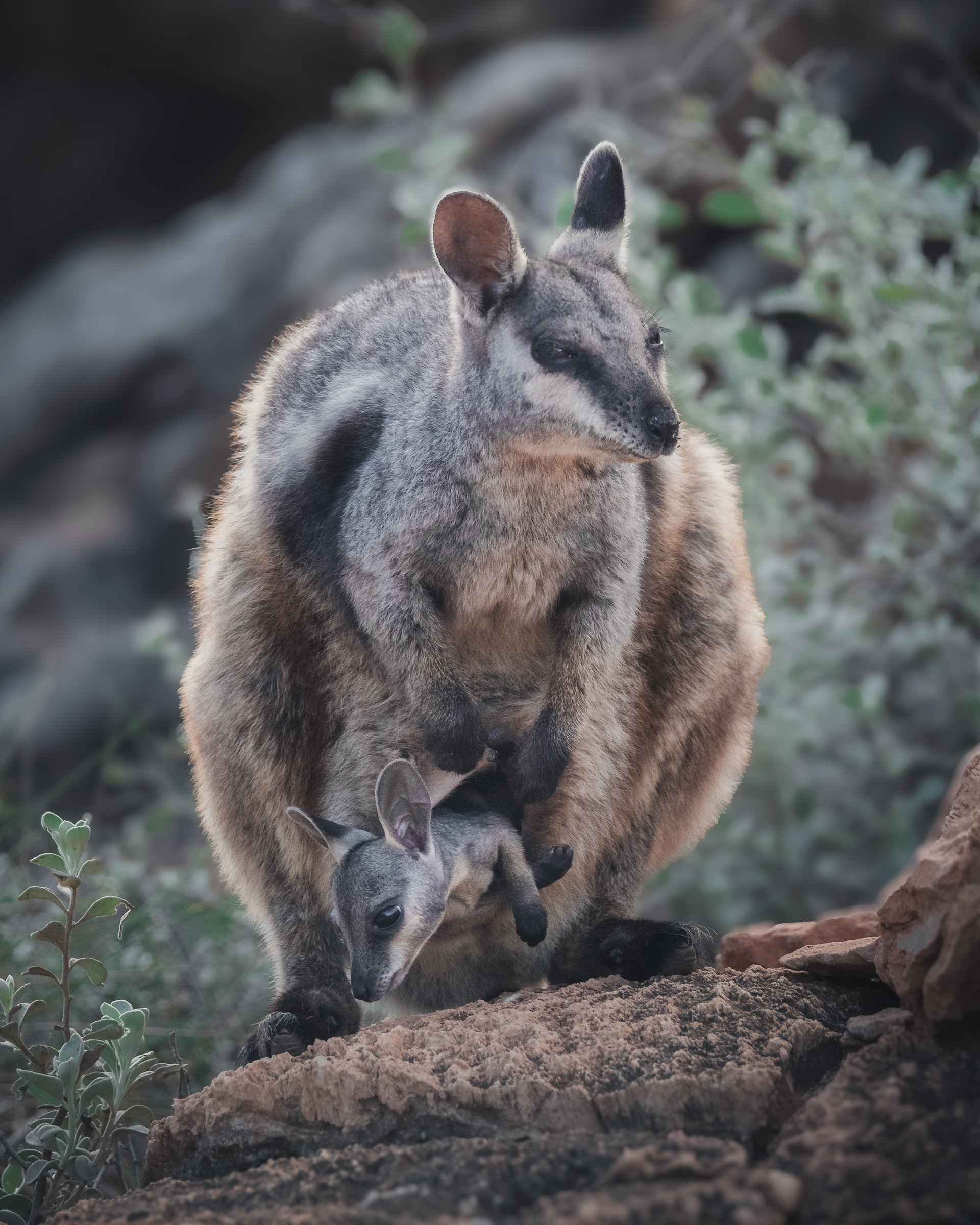 Outback Family – Exmouth
