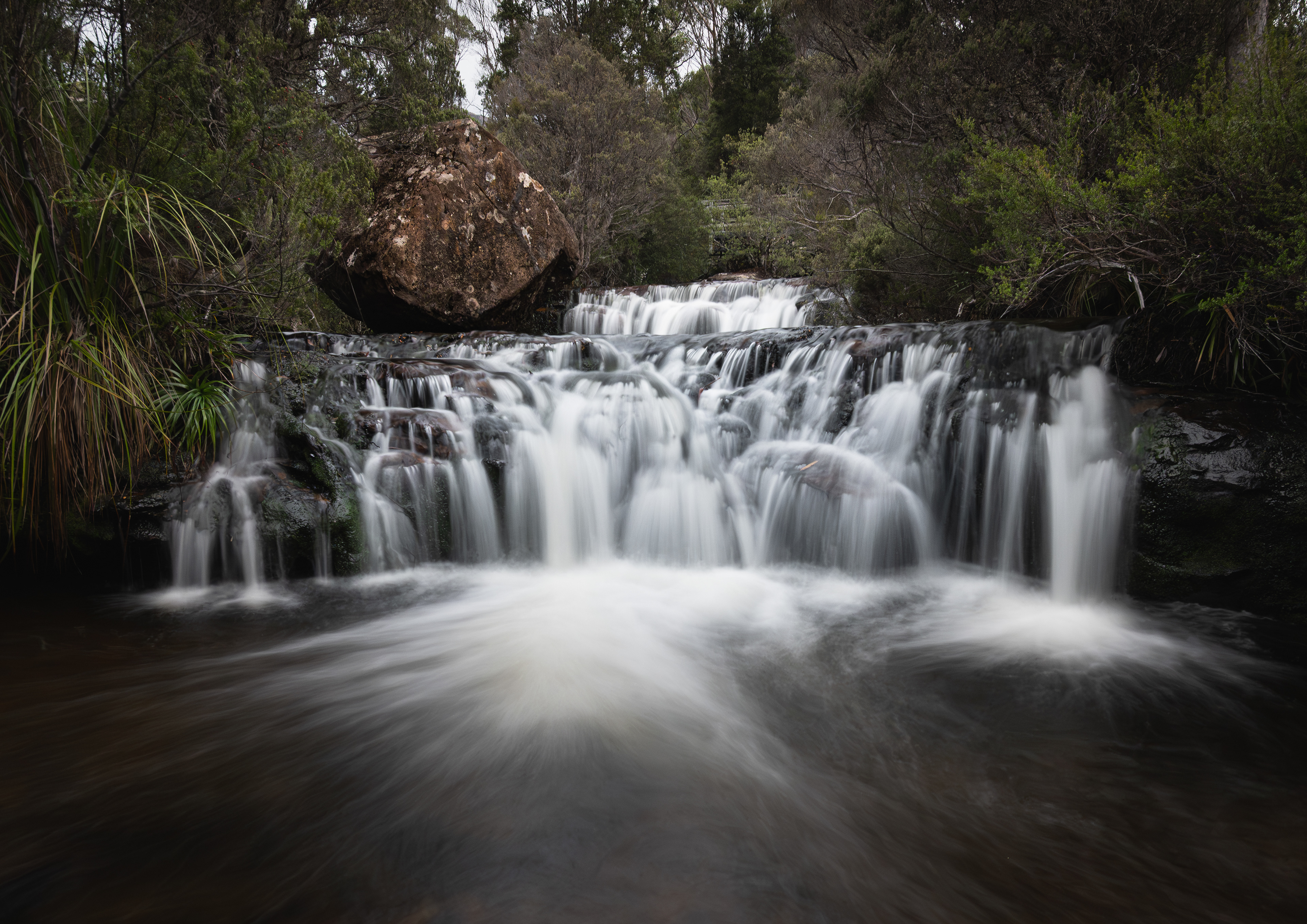 The Sentinel - Tasmania